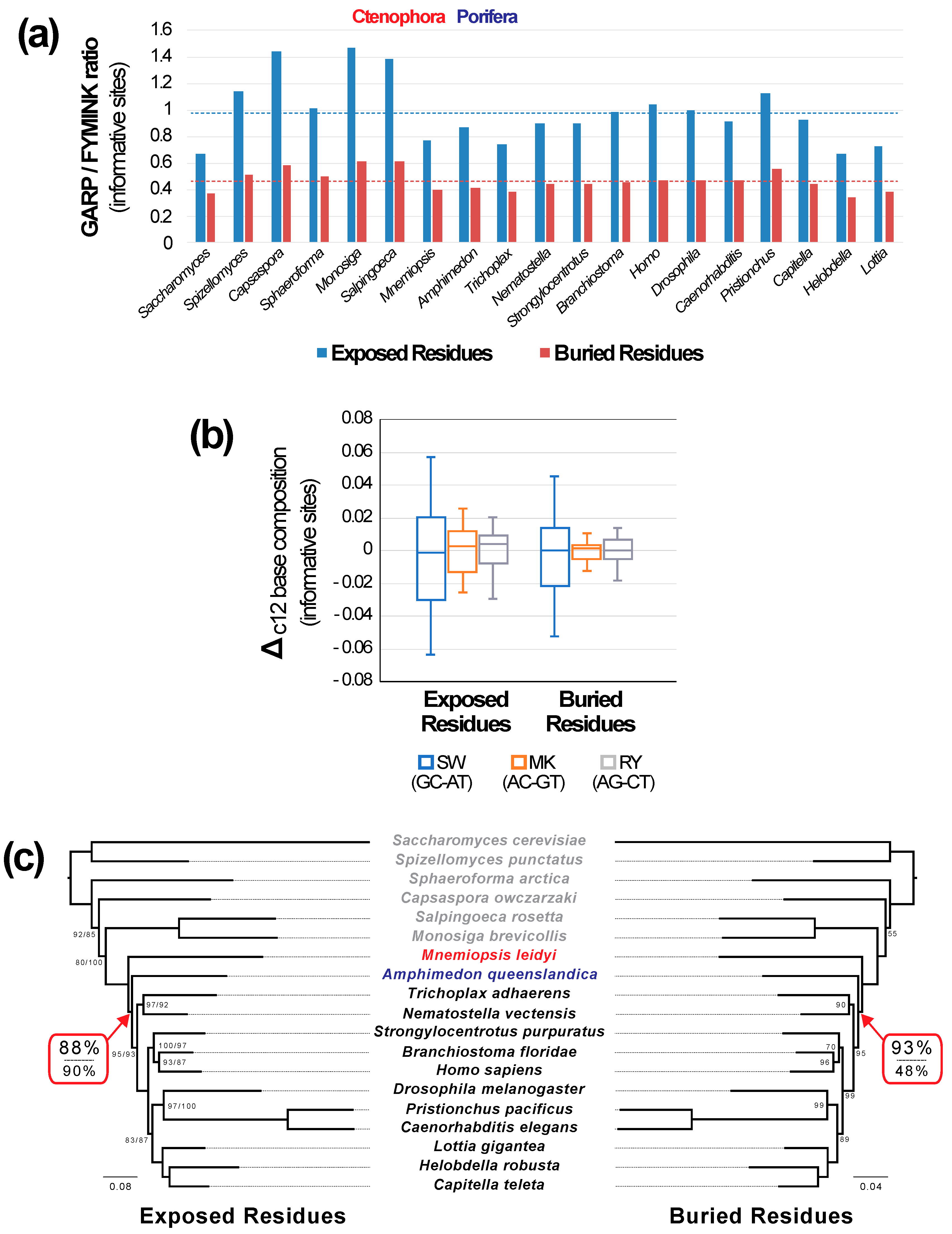 Biology 09 00064 g006