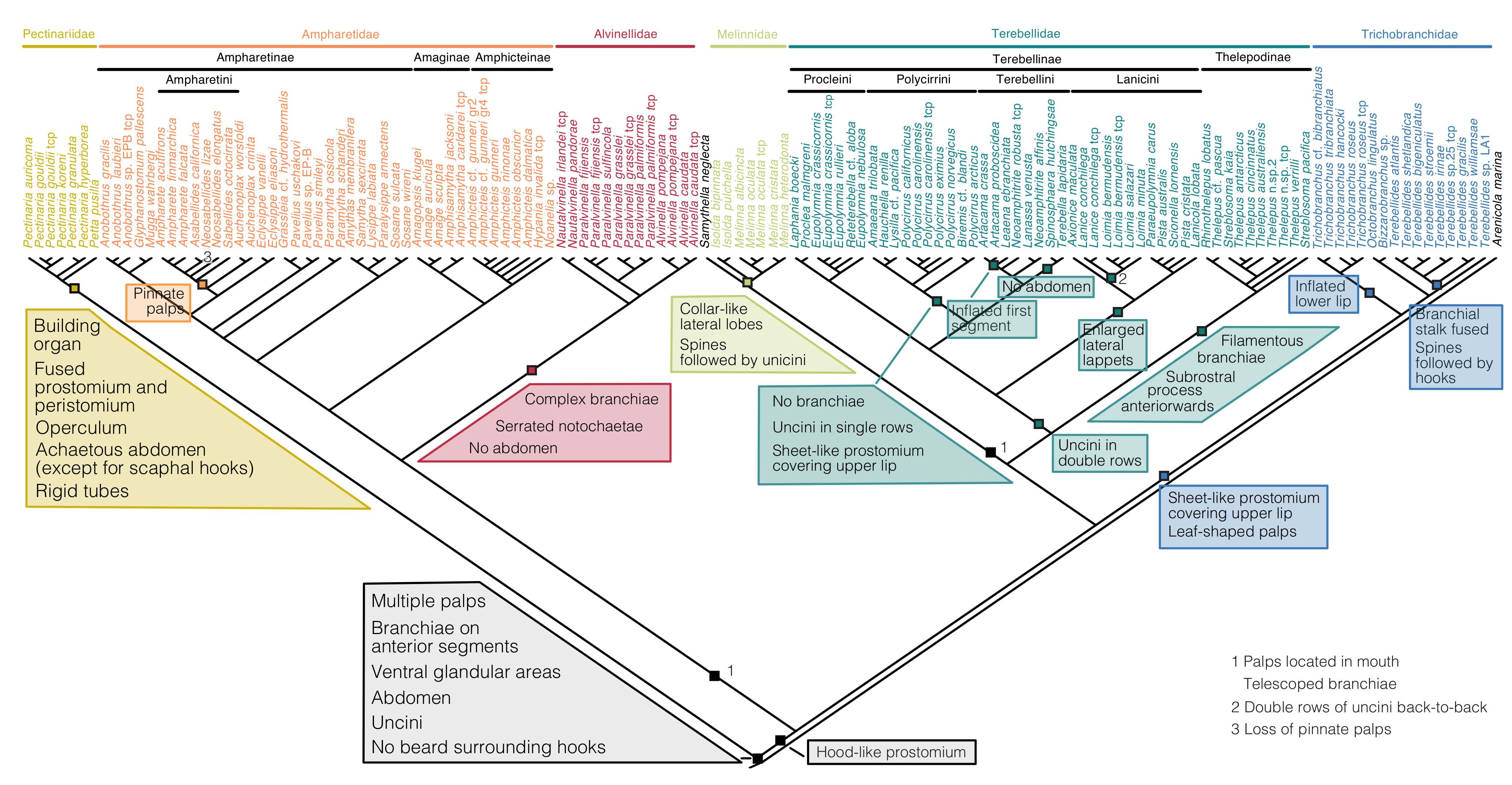 Biology 09 00073 g004