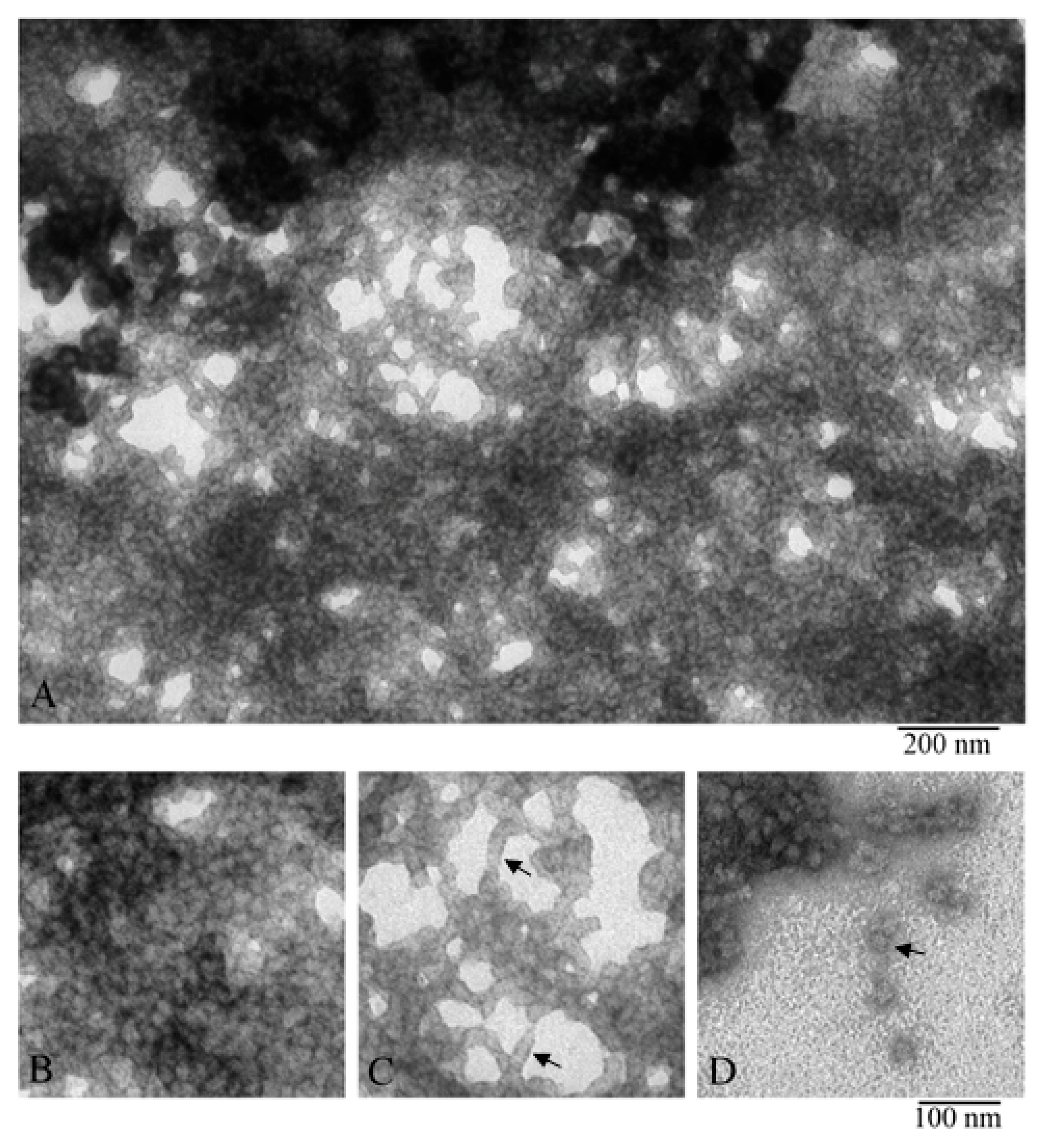 Biology 09 00085 g006