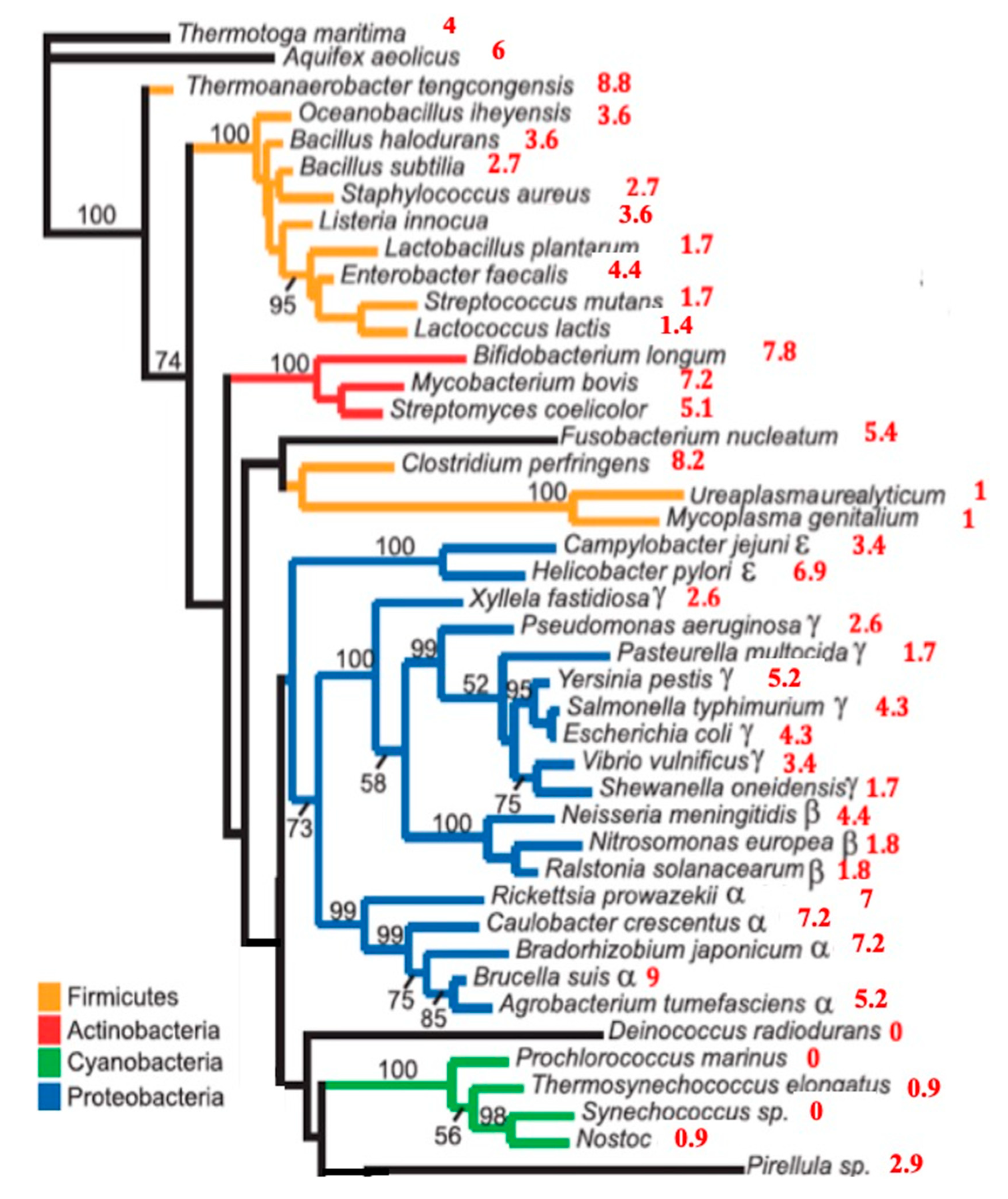 Biology 09 00088 g004 Biology 09 00088 g004