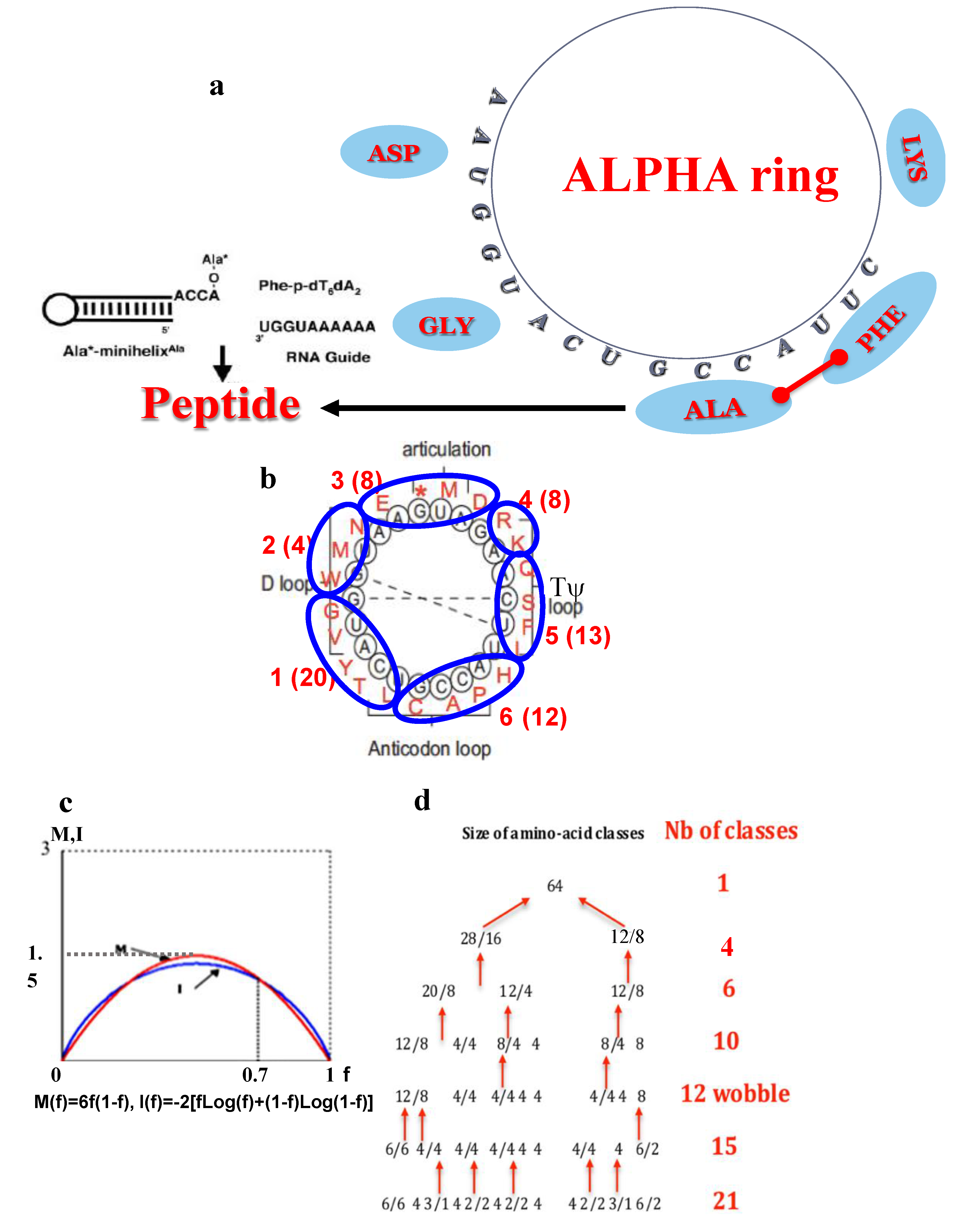 Biology 09 00088 g007 Biology 09 00088 g007