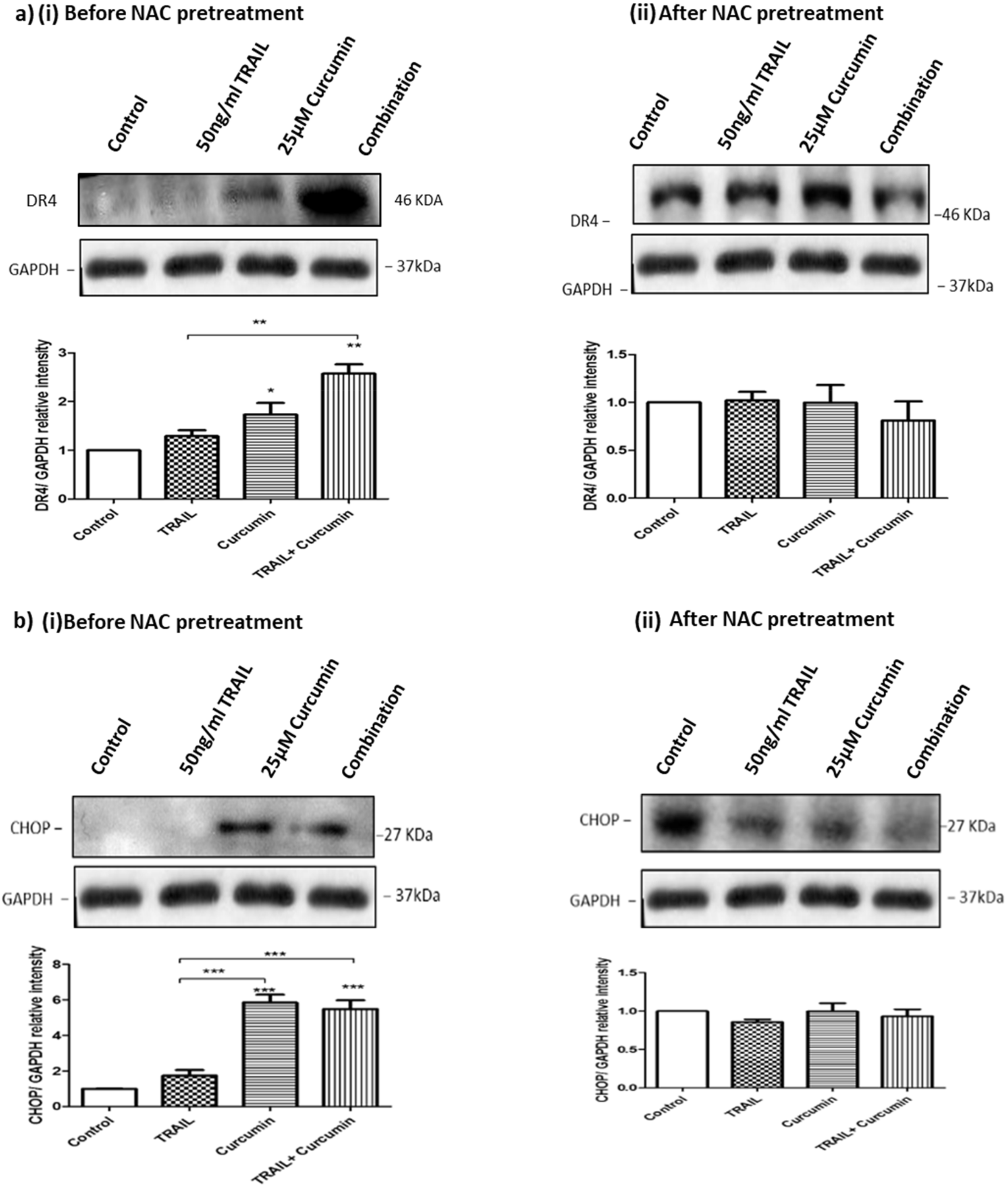 Biology 09 00092 g010 Biology 09 00092 g010