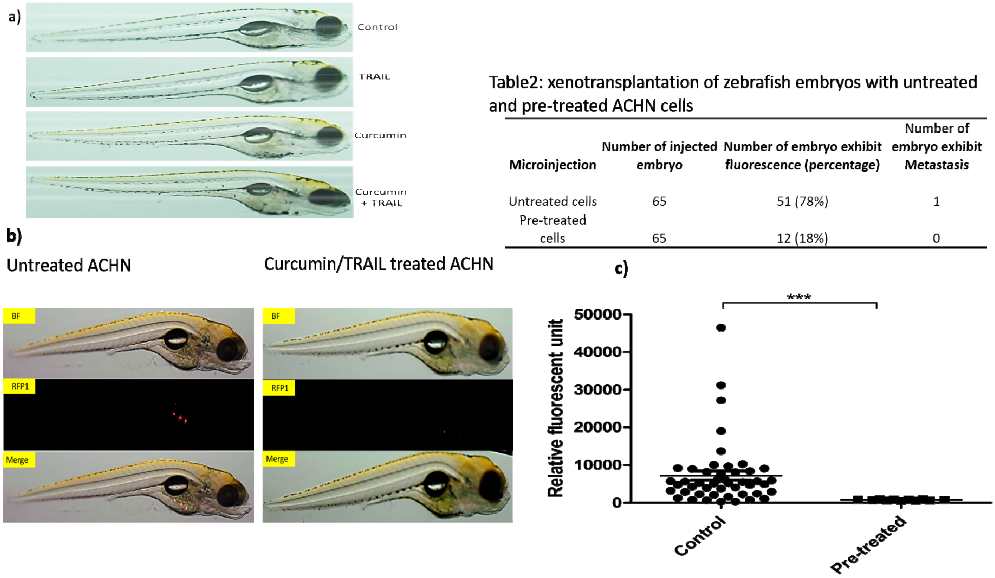 Biology 09 00092 g013 Biology 09 00092 g013