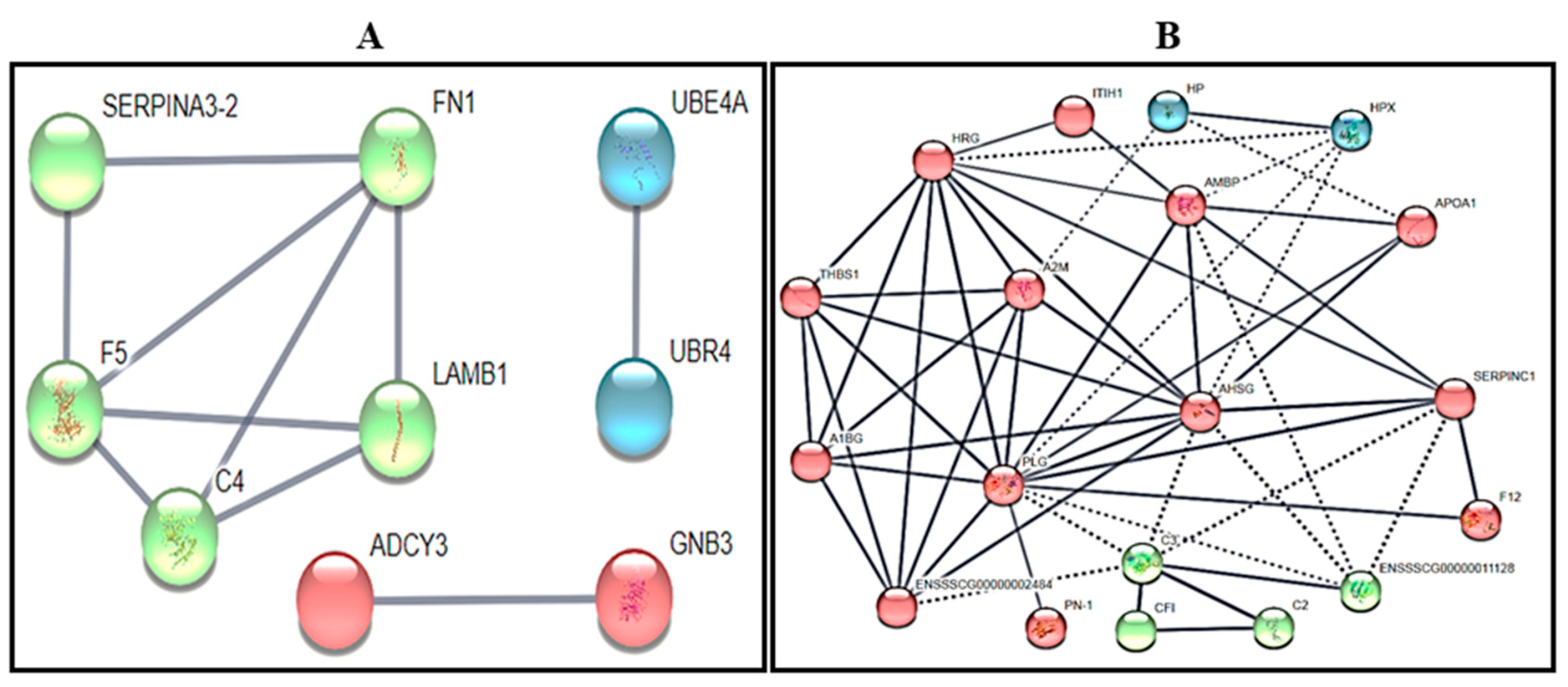 Biology 09 00101 g002 Biology 09 00101 g002