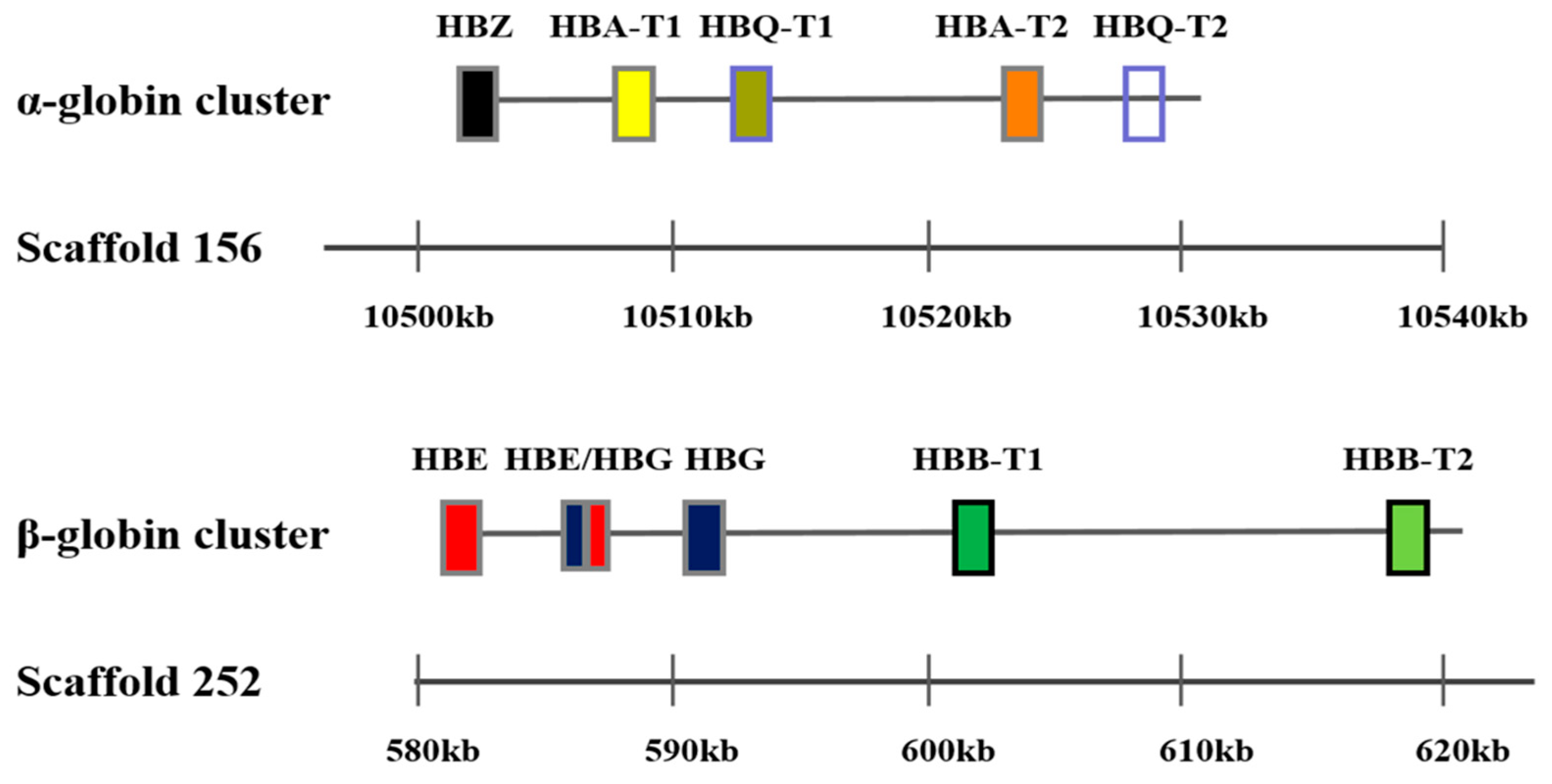 Biology 09 00106 g001