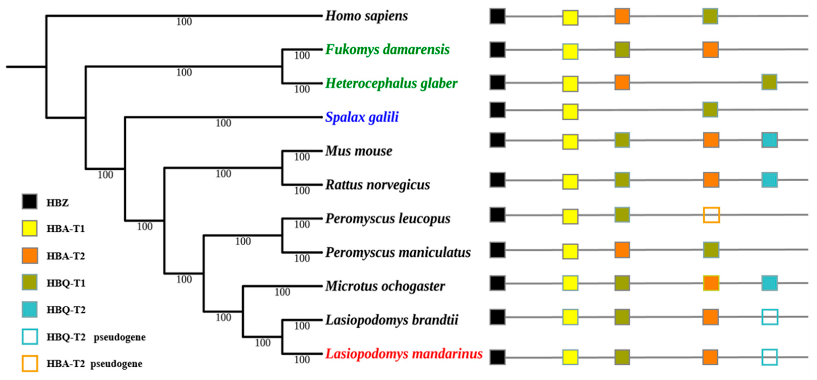 Biology 09 00106 g002