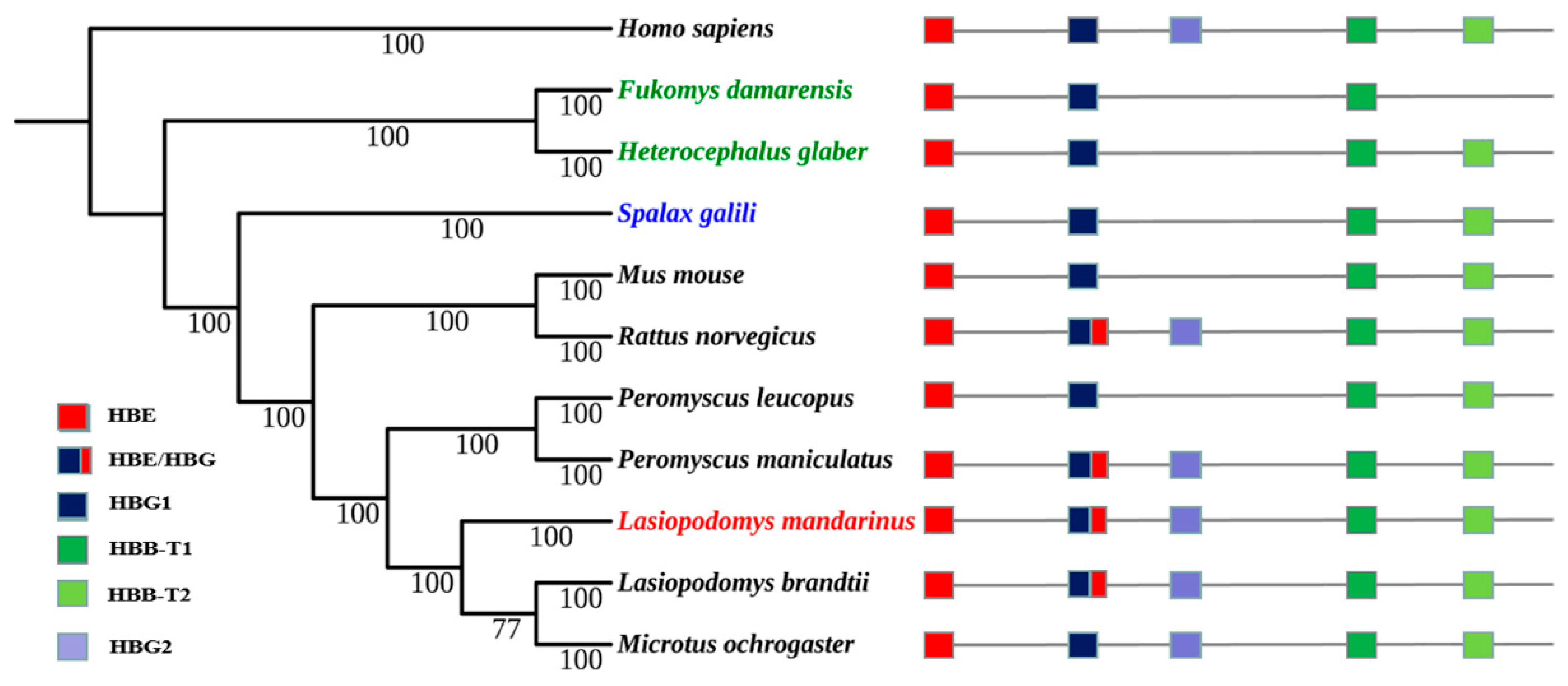 Biology 09 00106 g003