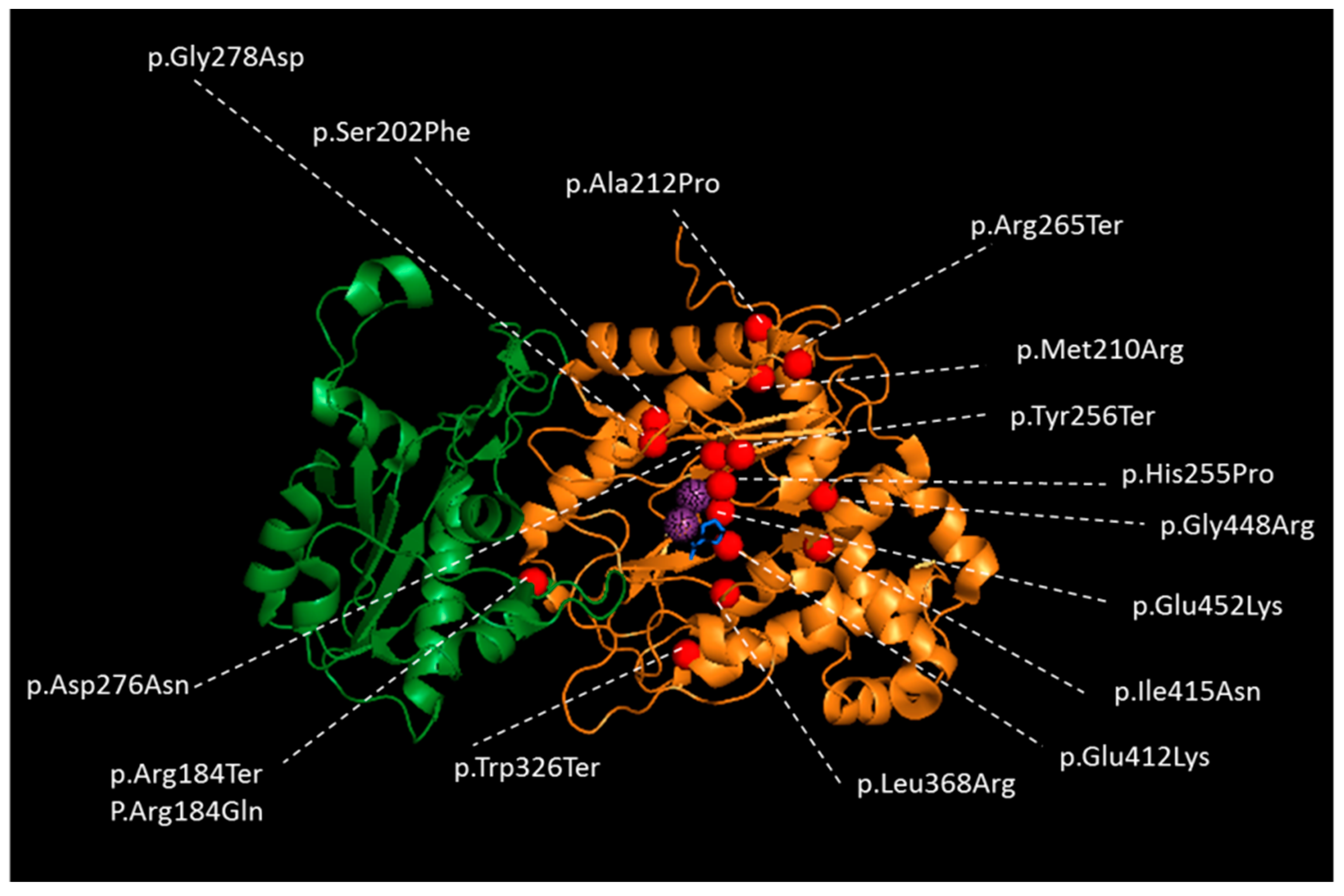 Biology 09 00108 g002 Biology 09 00108 g002
