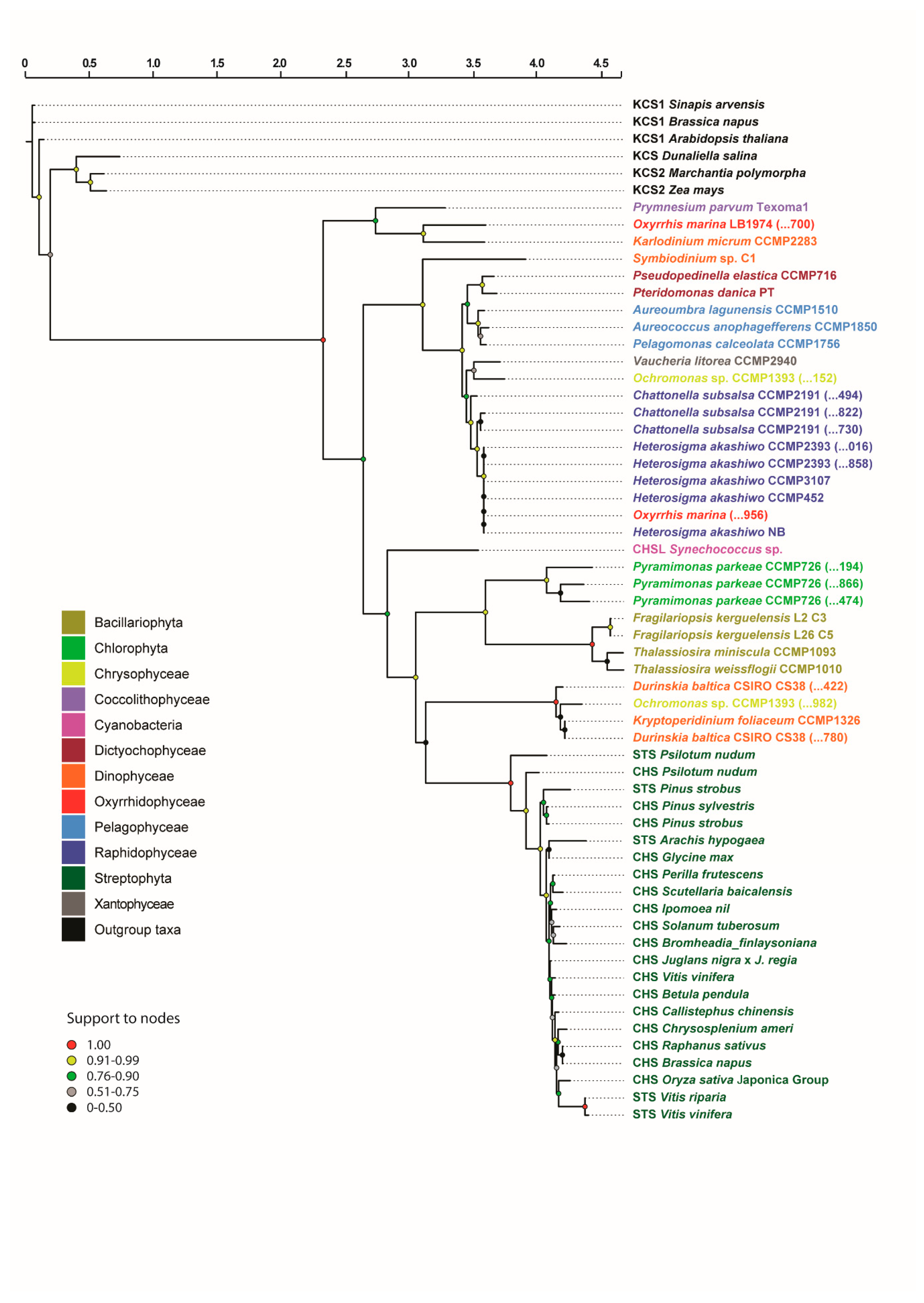 Biology 09 00110 g002