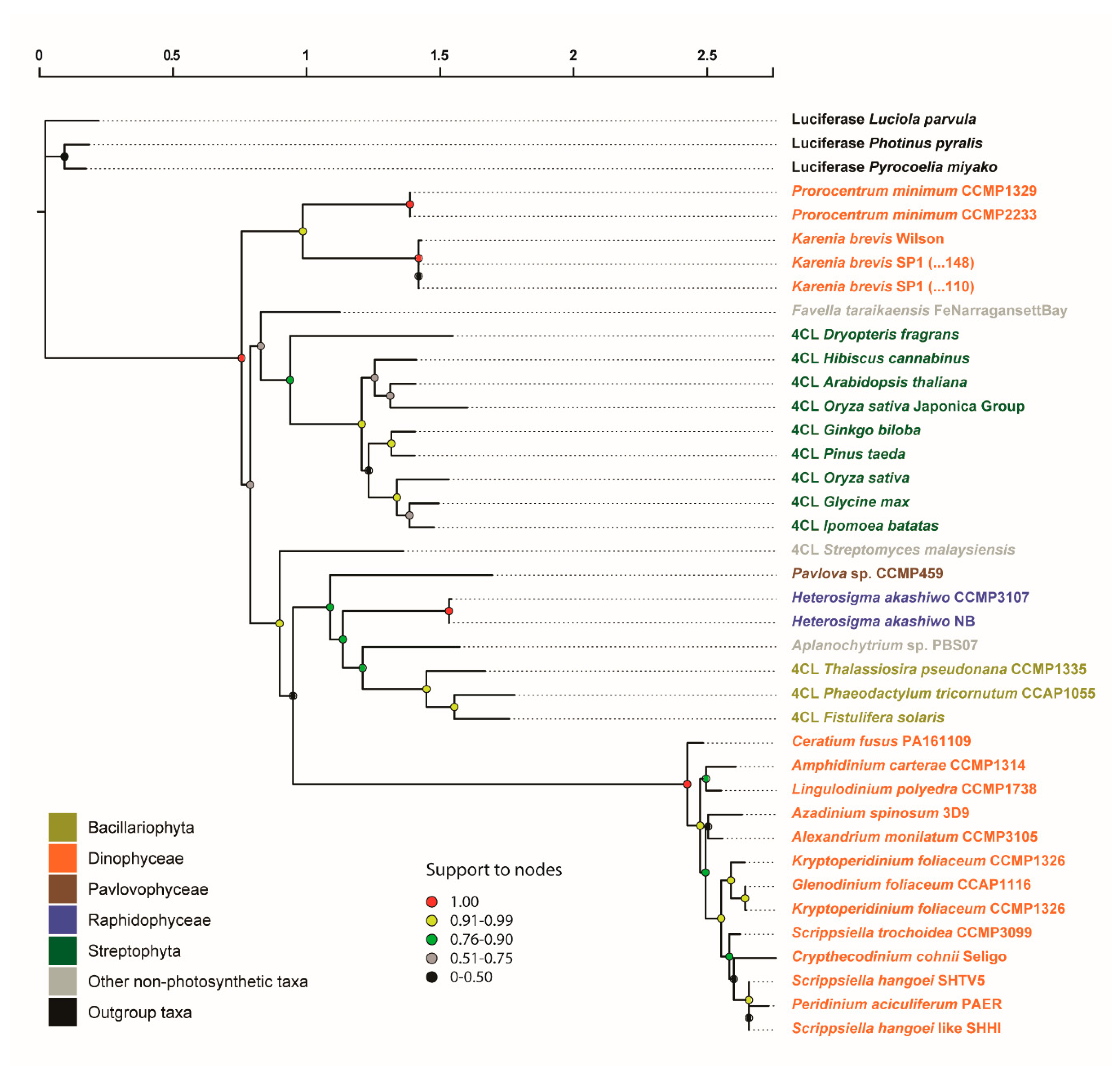 Biology 09 00110 g003