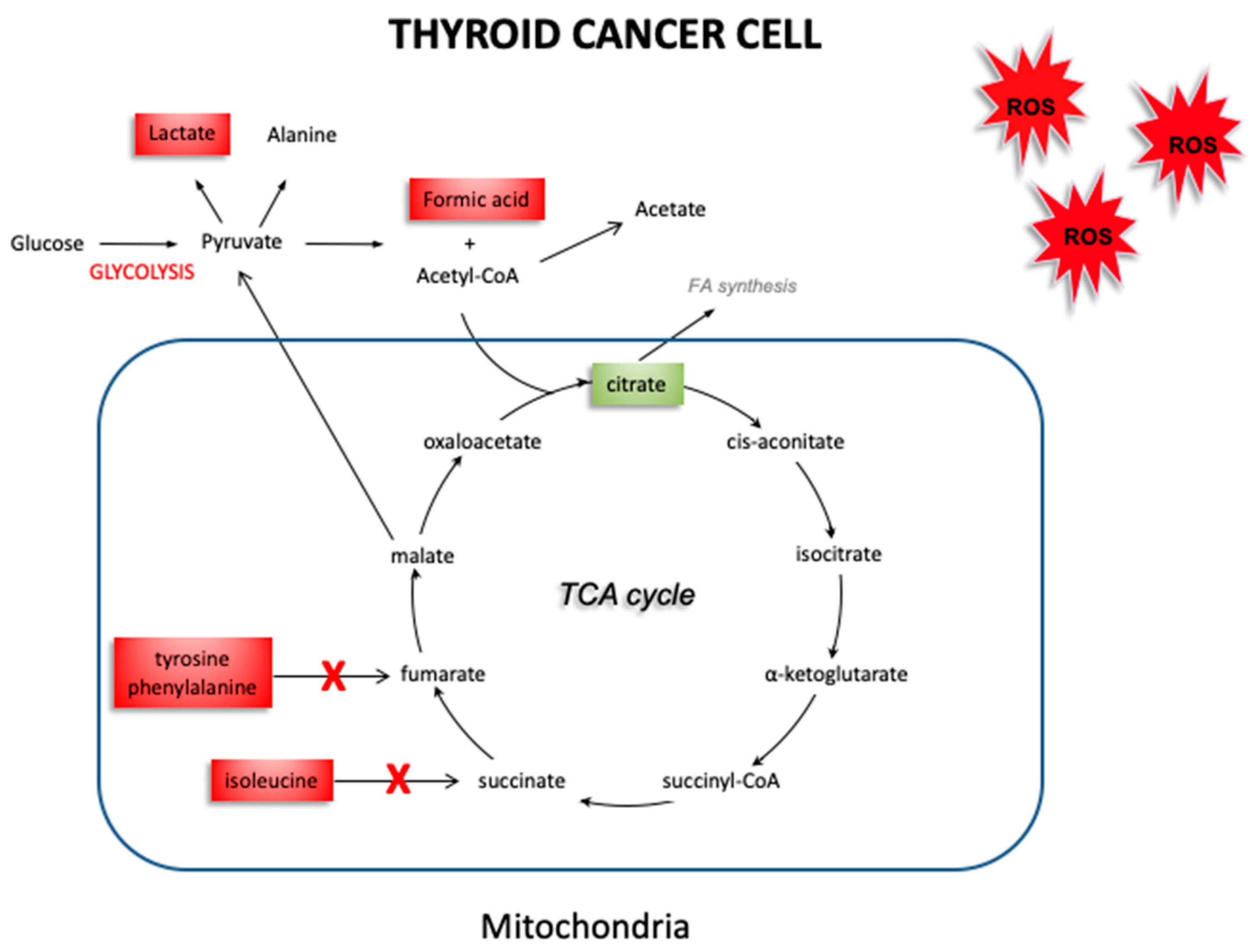 Biology 09 00112 g007