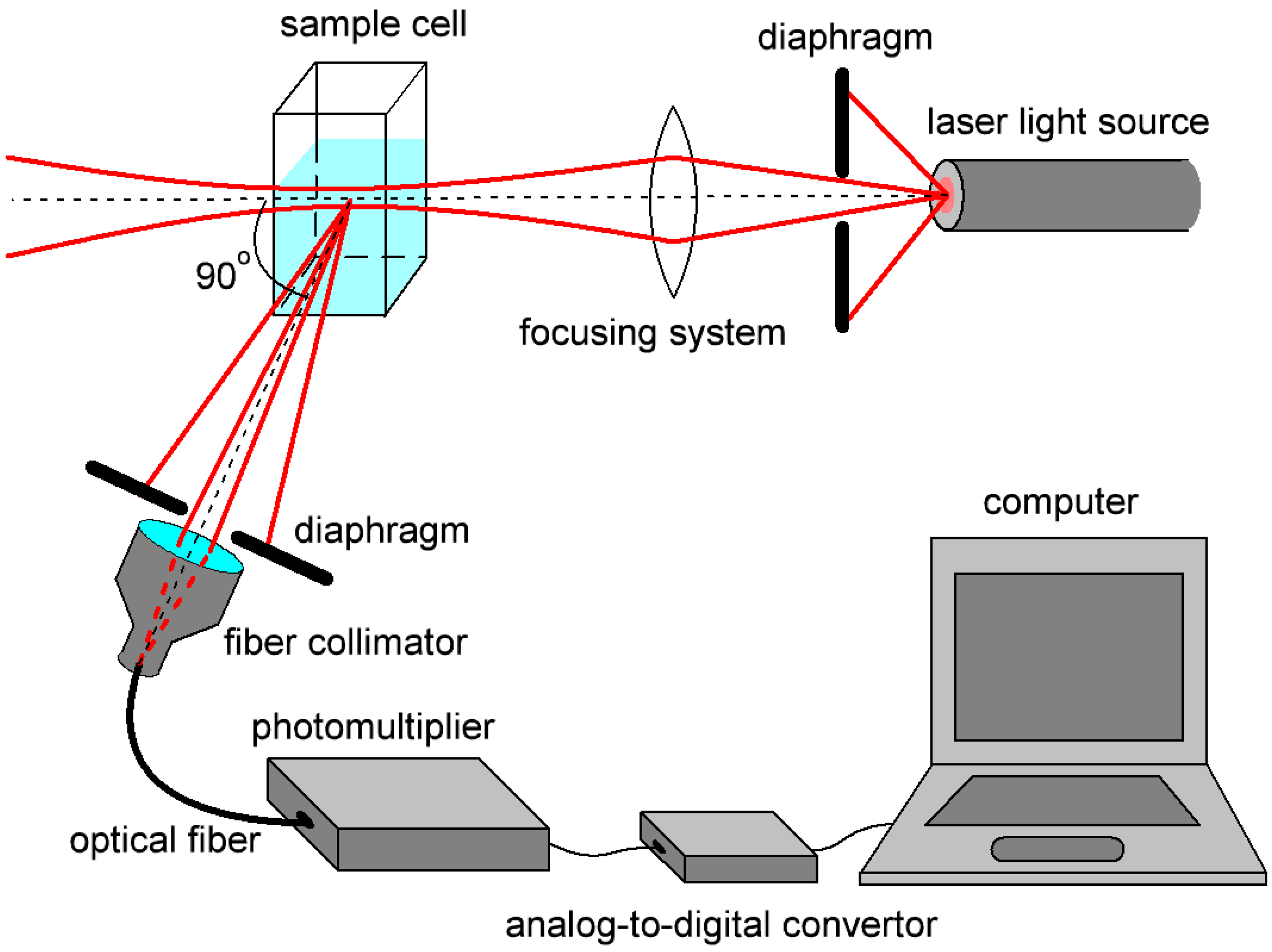 Biology 09 00123 g001
