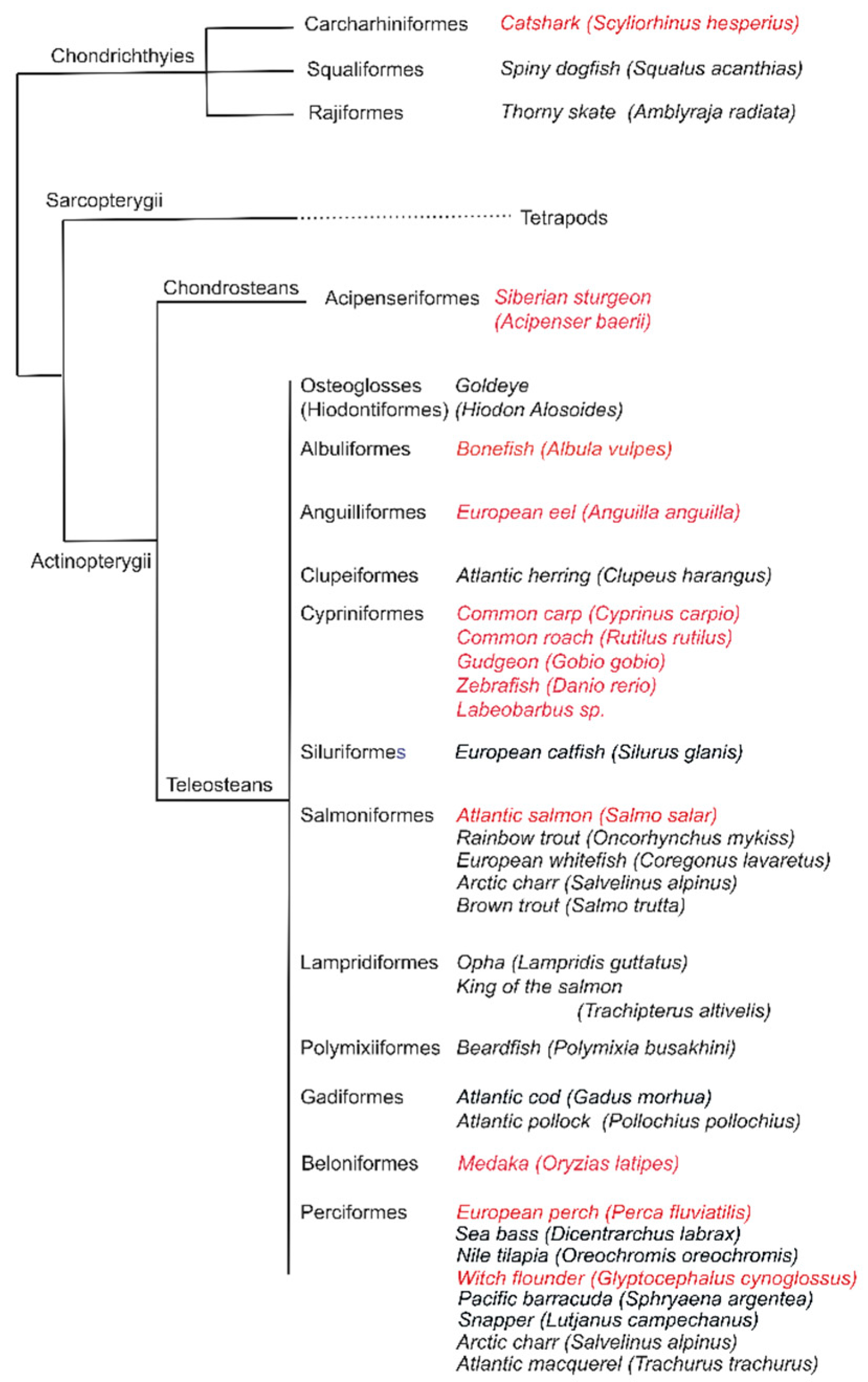 Biology 09 00127 g002 Biology 09 00127 g002