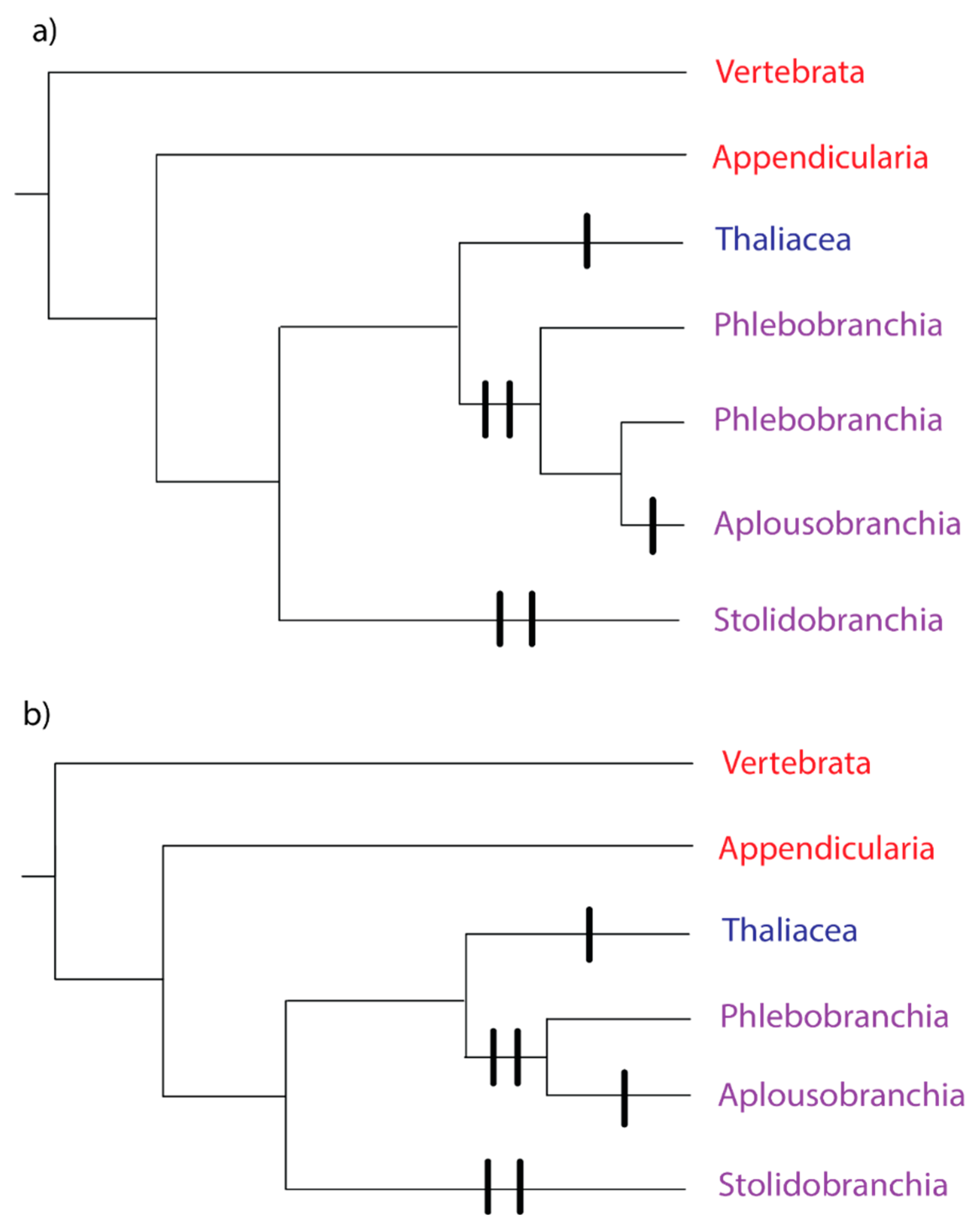 Biology 09 00129 g001 Biology 09 00129 g001