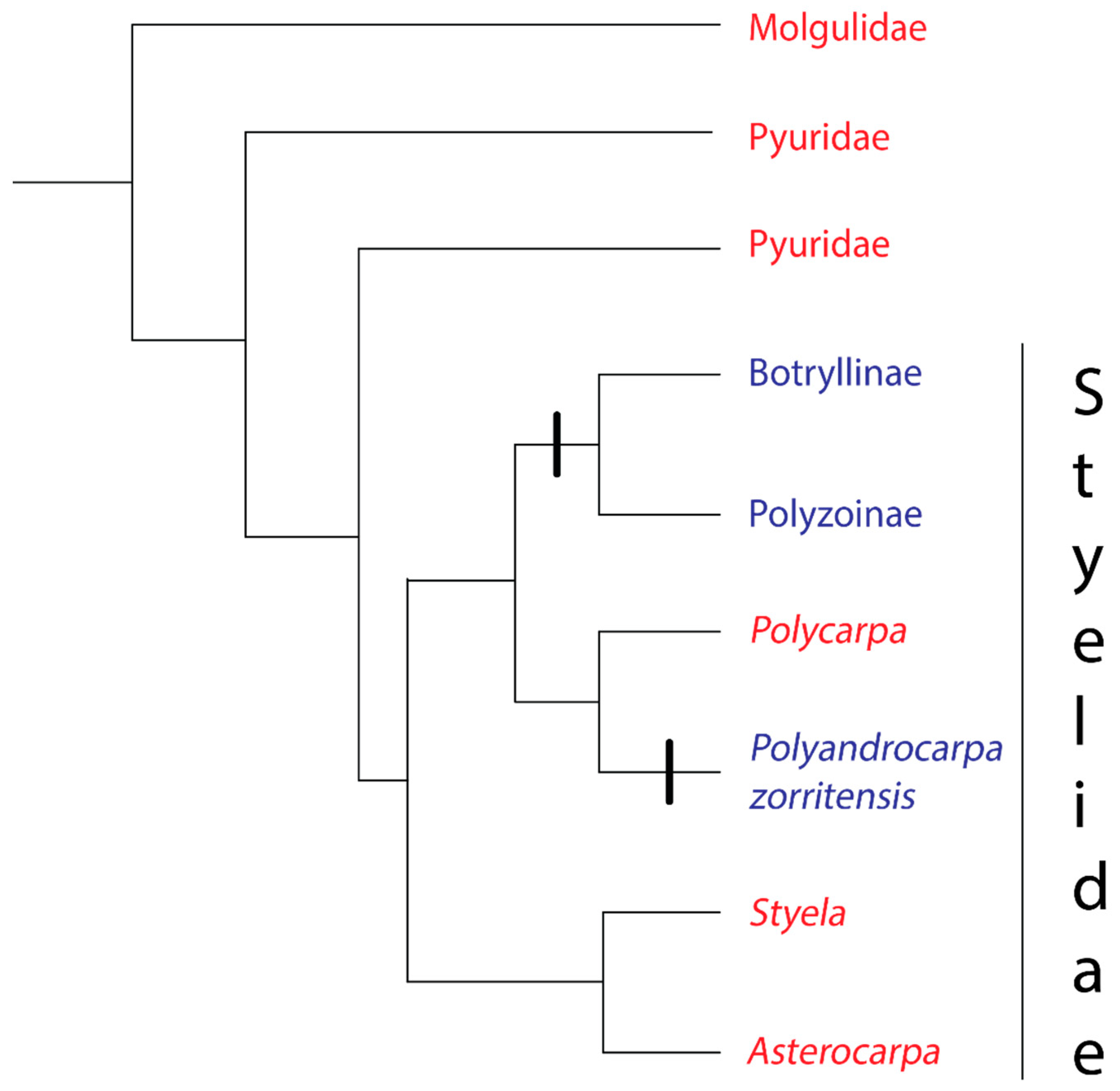 Biology 09 00129 g002 Biology 09 00129 g002