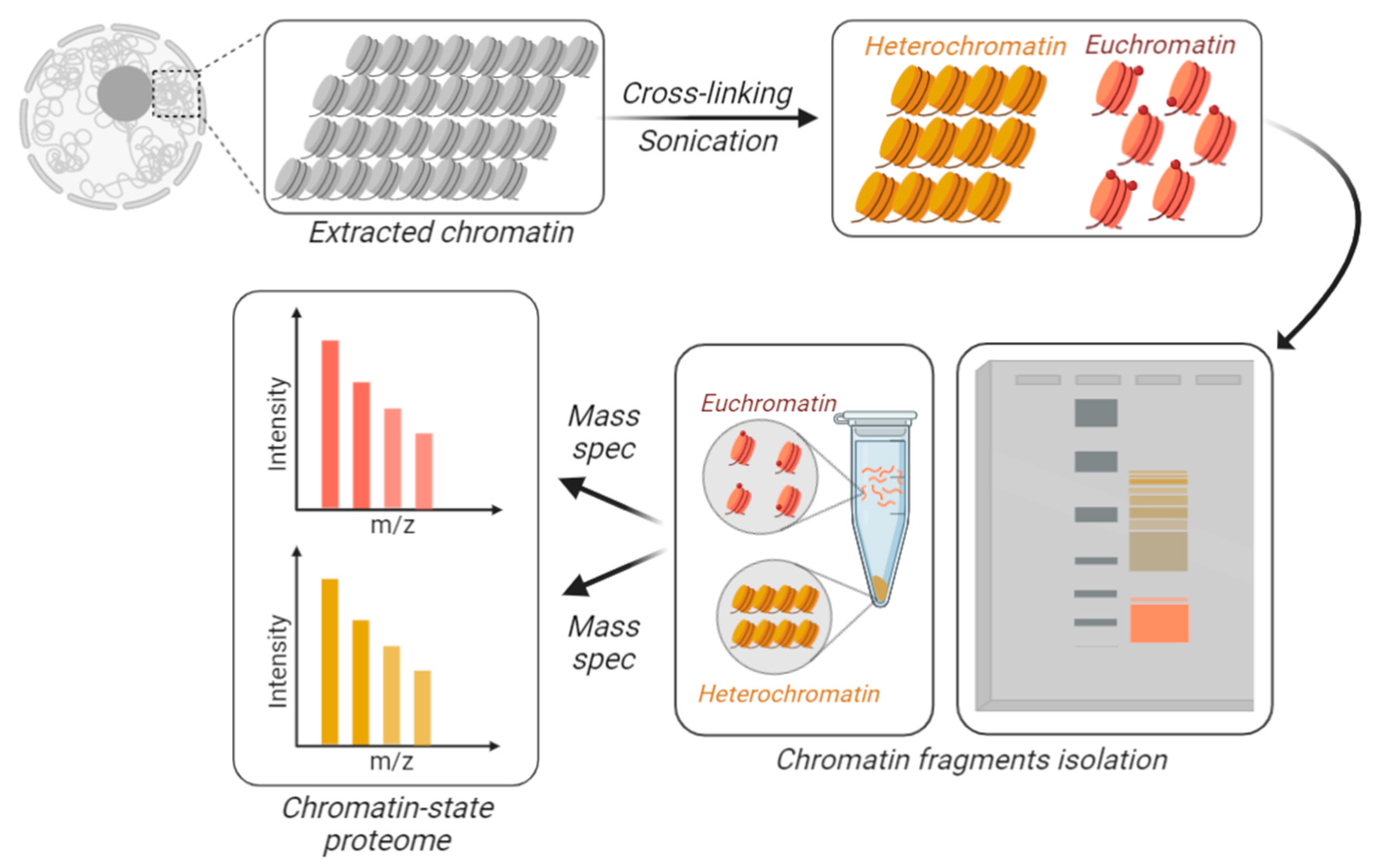 Biology 09 00140 g003