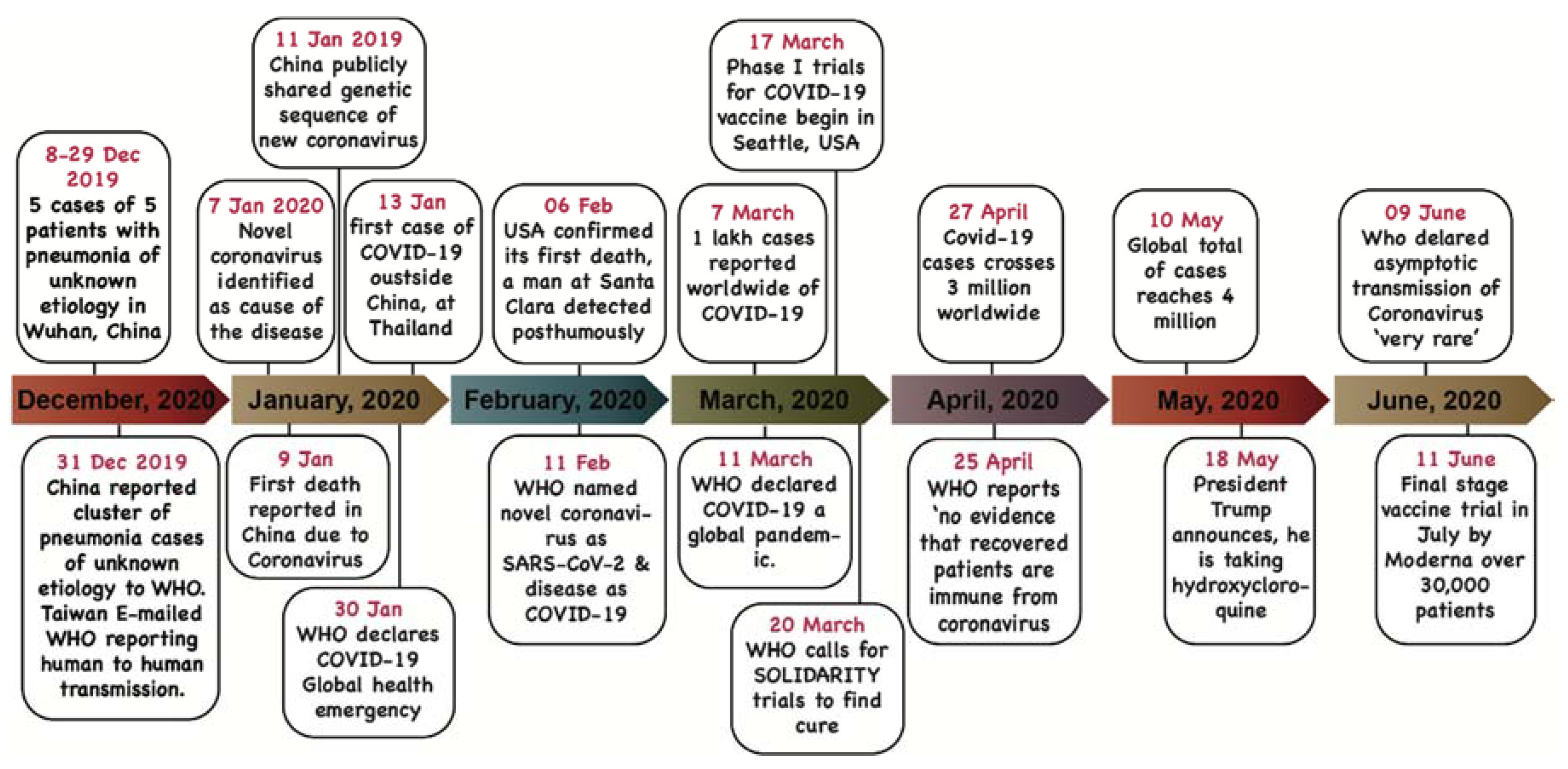 Biology 09 00141 g003