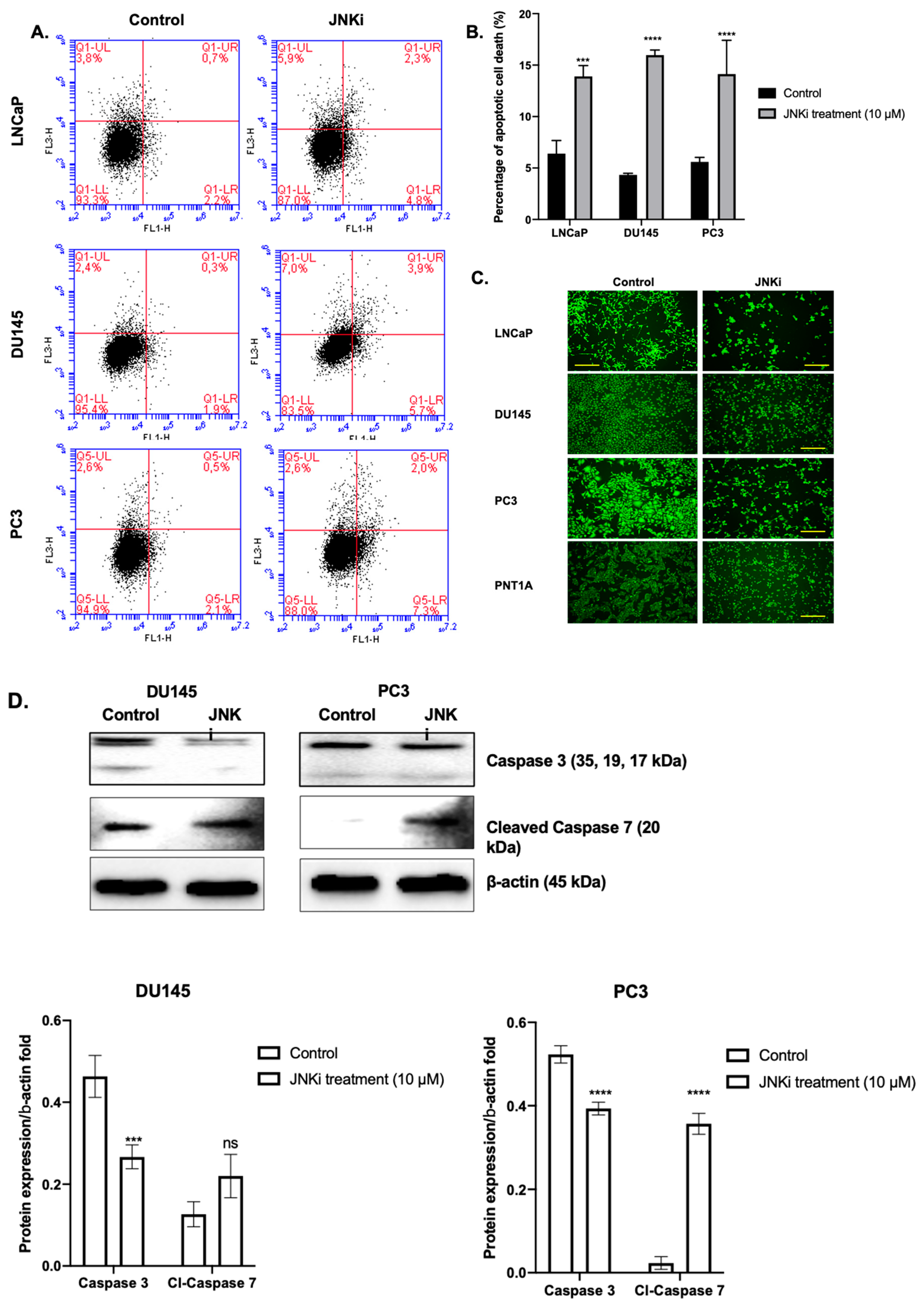 Biology 09 00142 g001 Biology 09 00142 g001