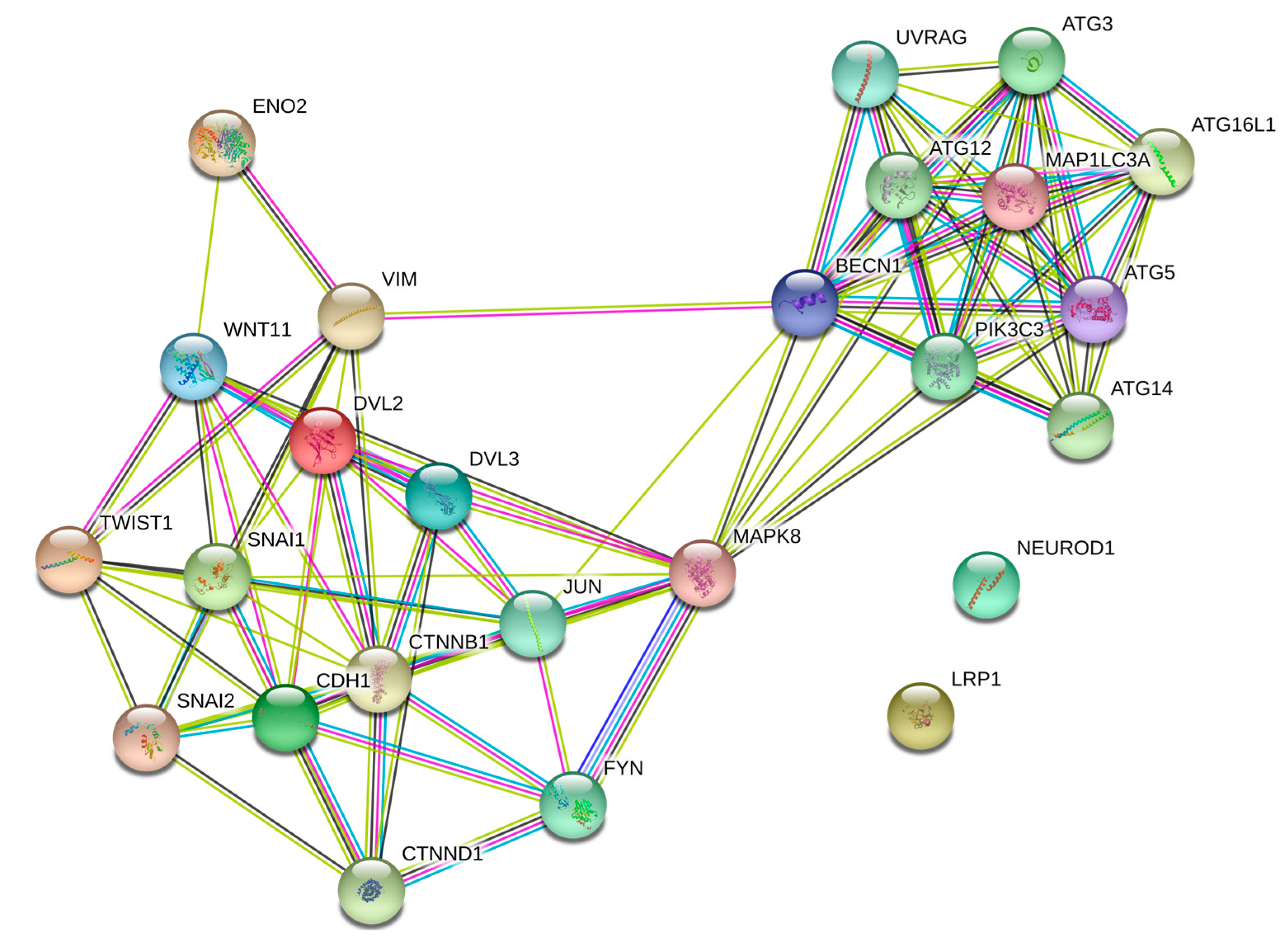 Biology 09 00142 g007 Biology 09 00142 g007