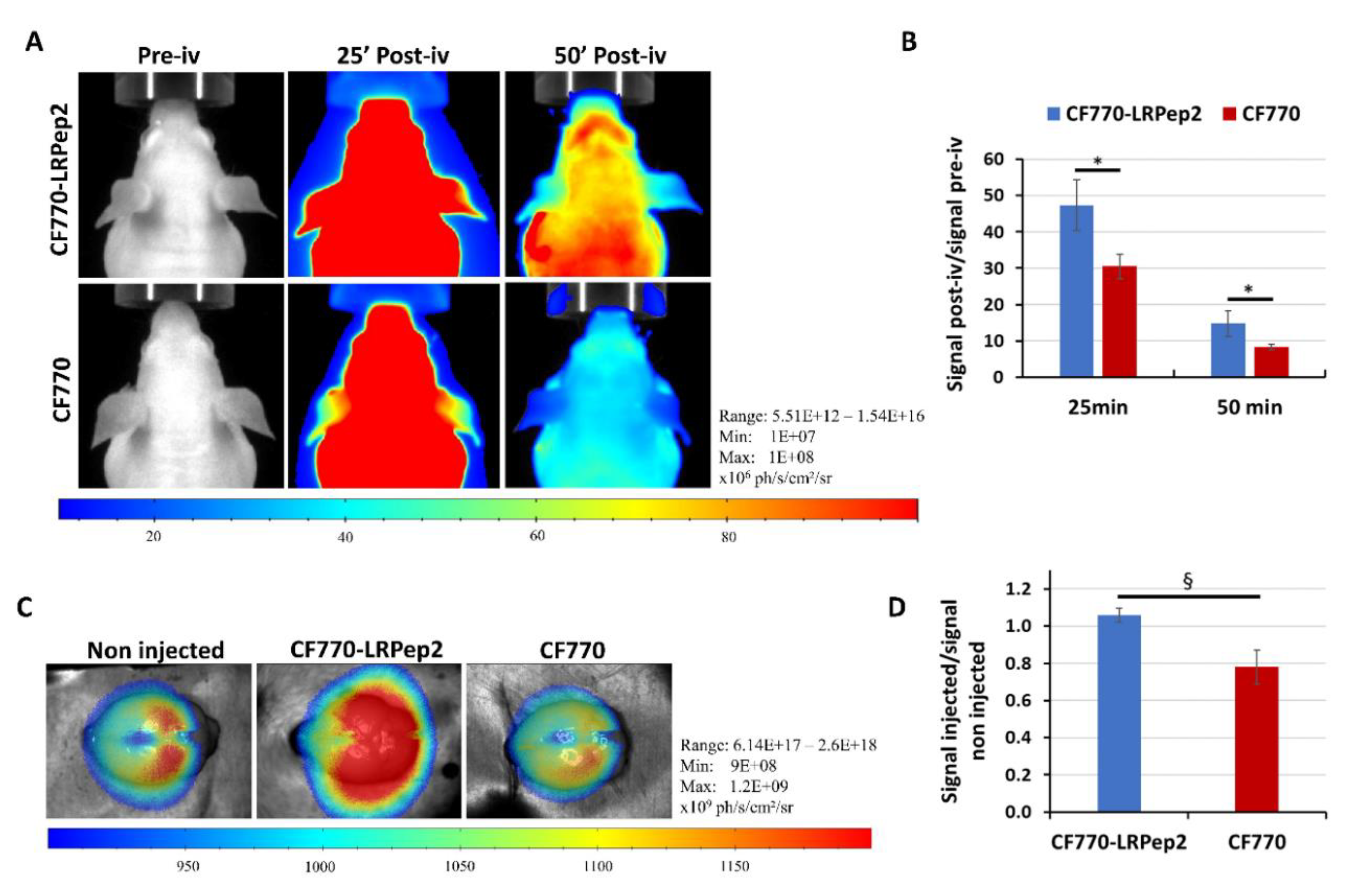 Biology 09 00161 g010