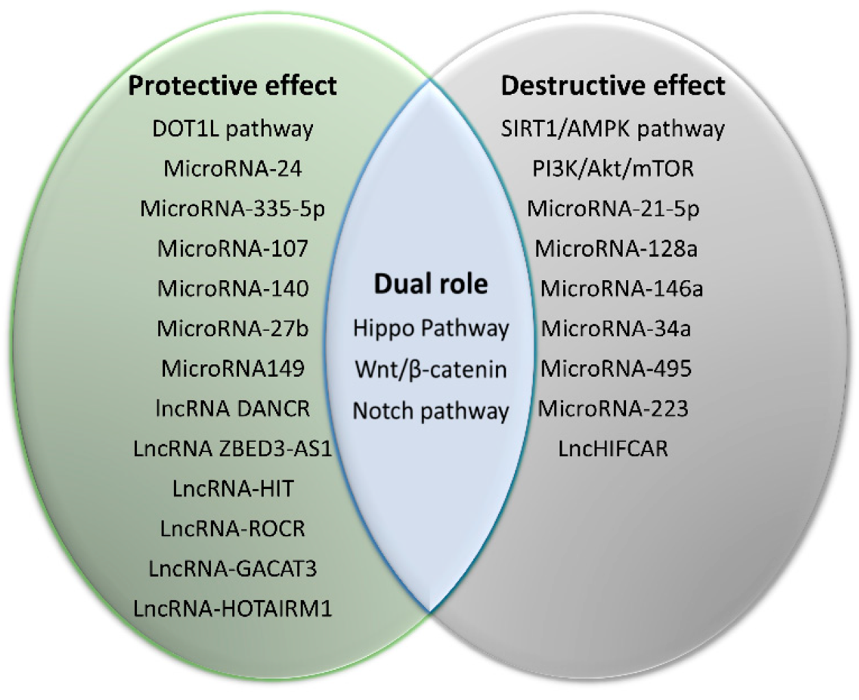 Biology 09 00194 g002