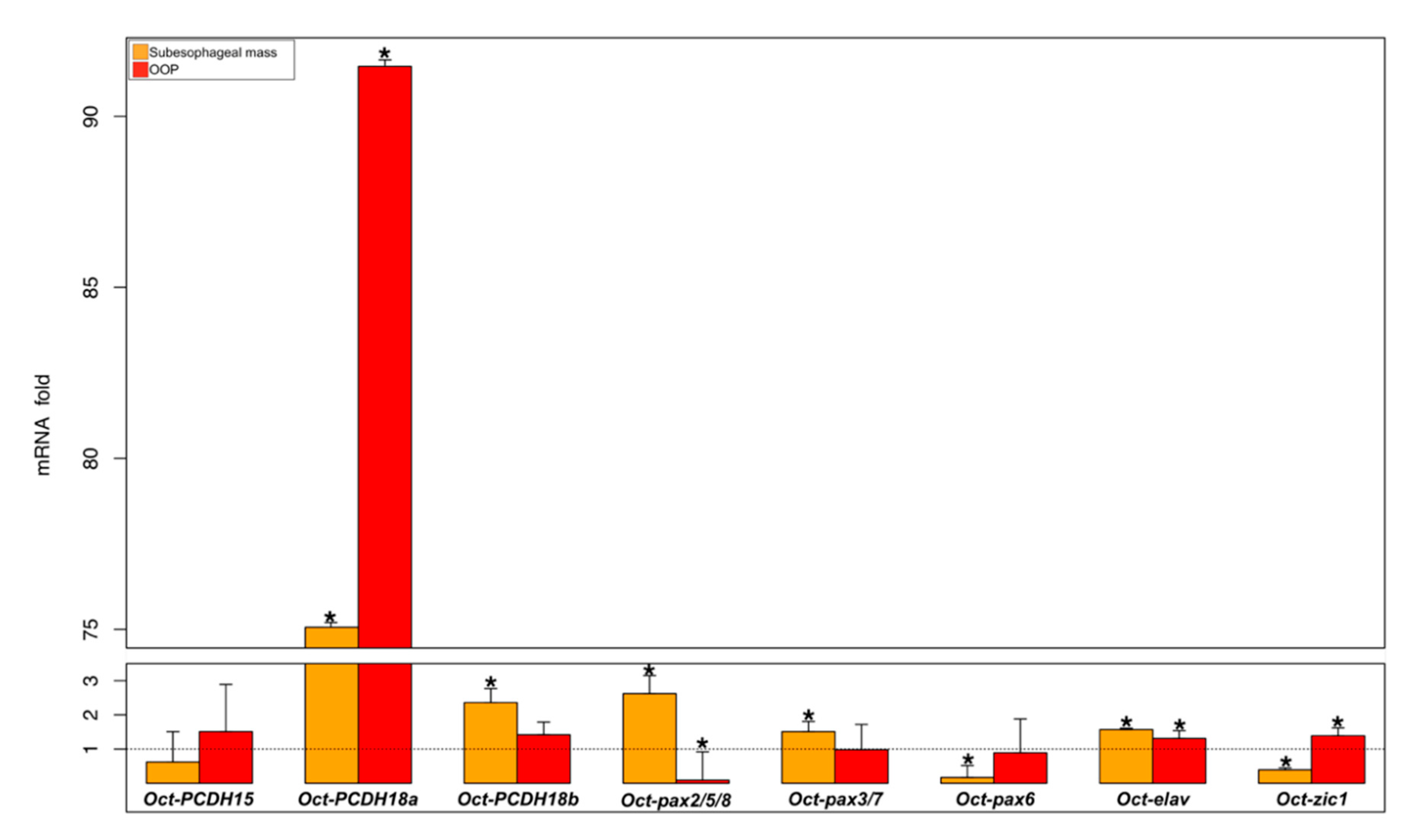 Biology 09 00196 g002
