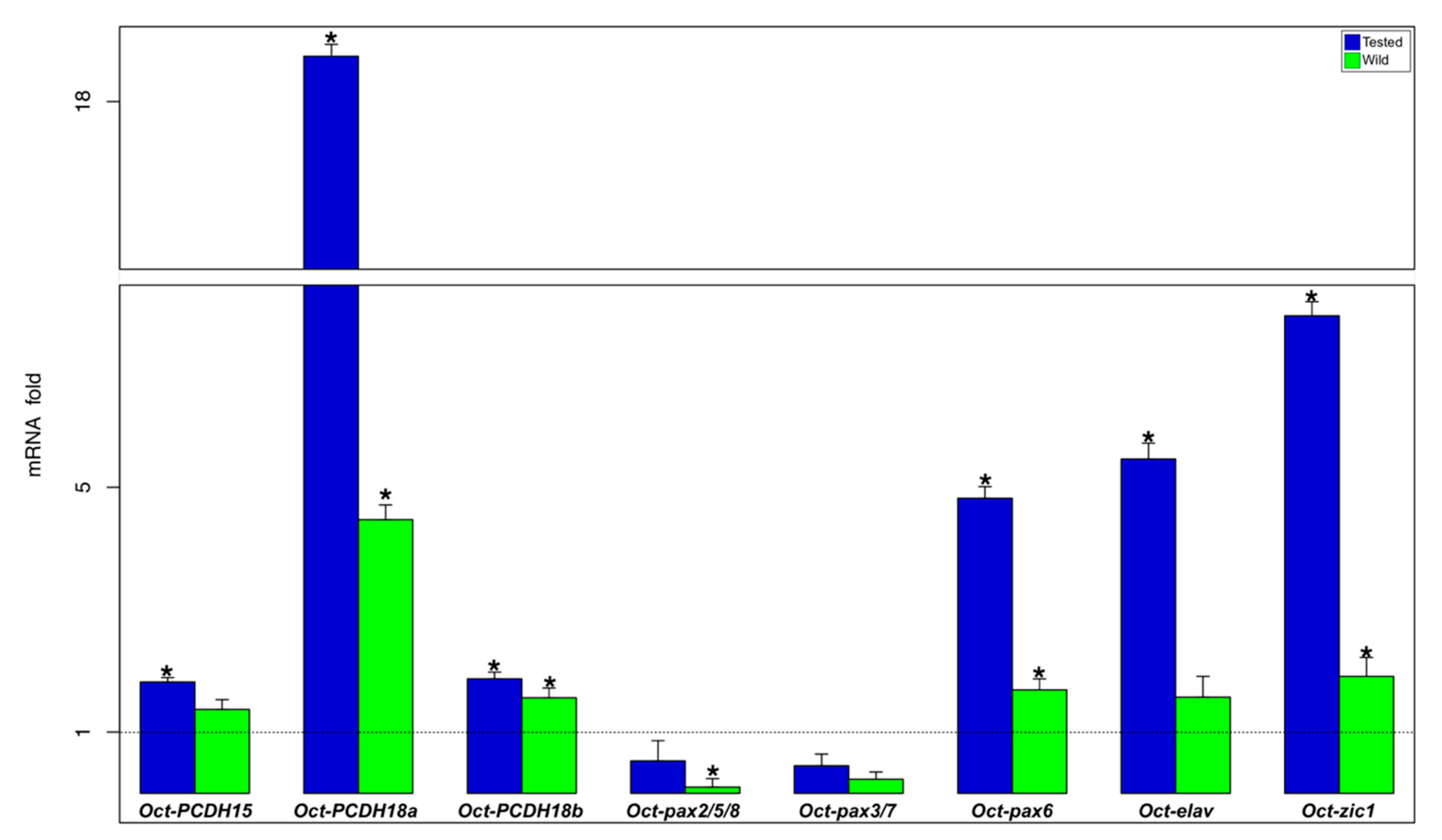 Biology 09 00196 g004
