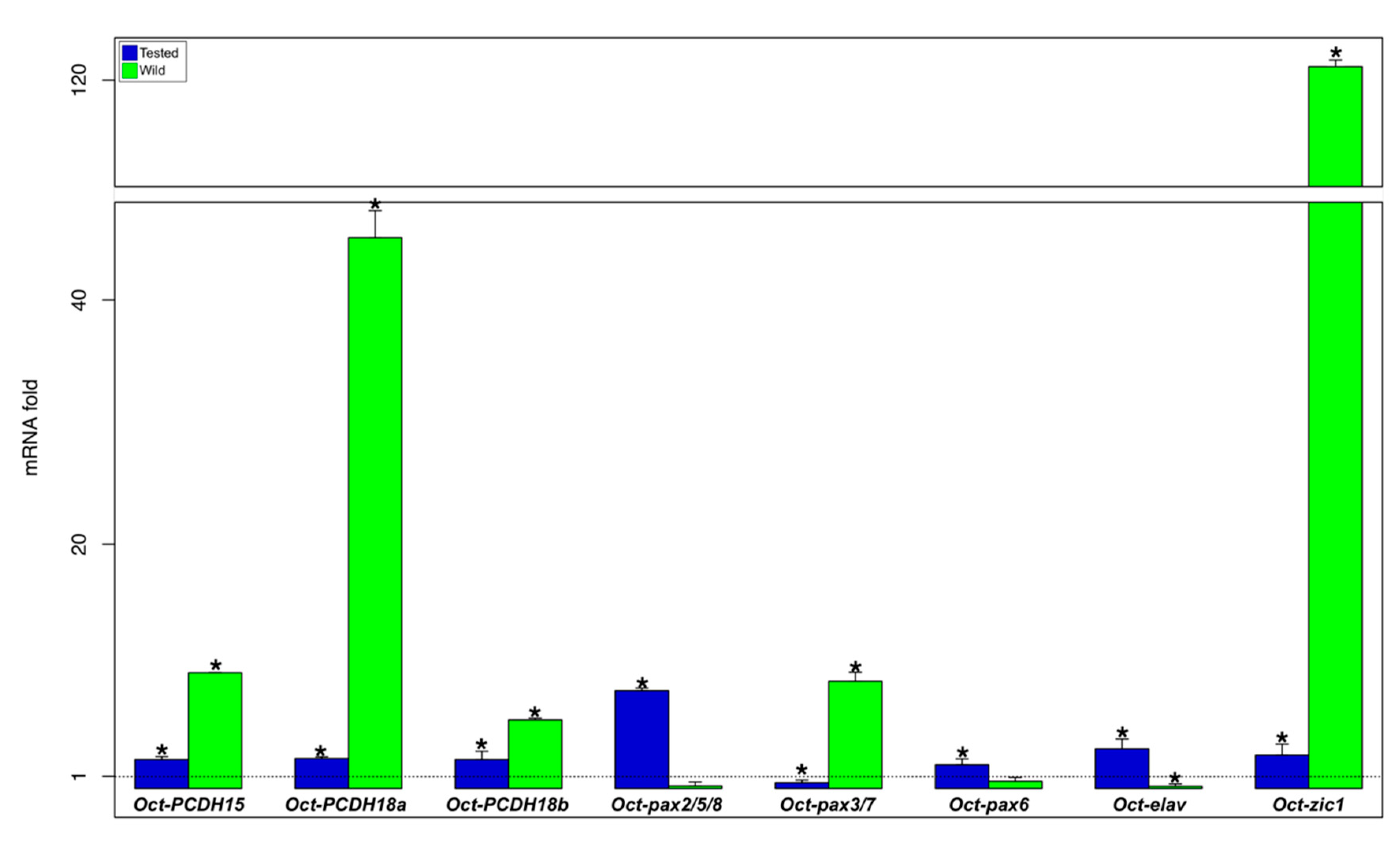 Biology 09 00196 g005