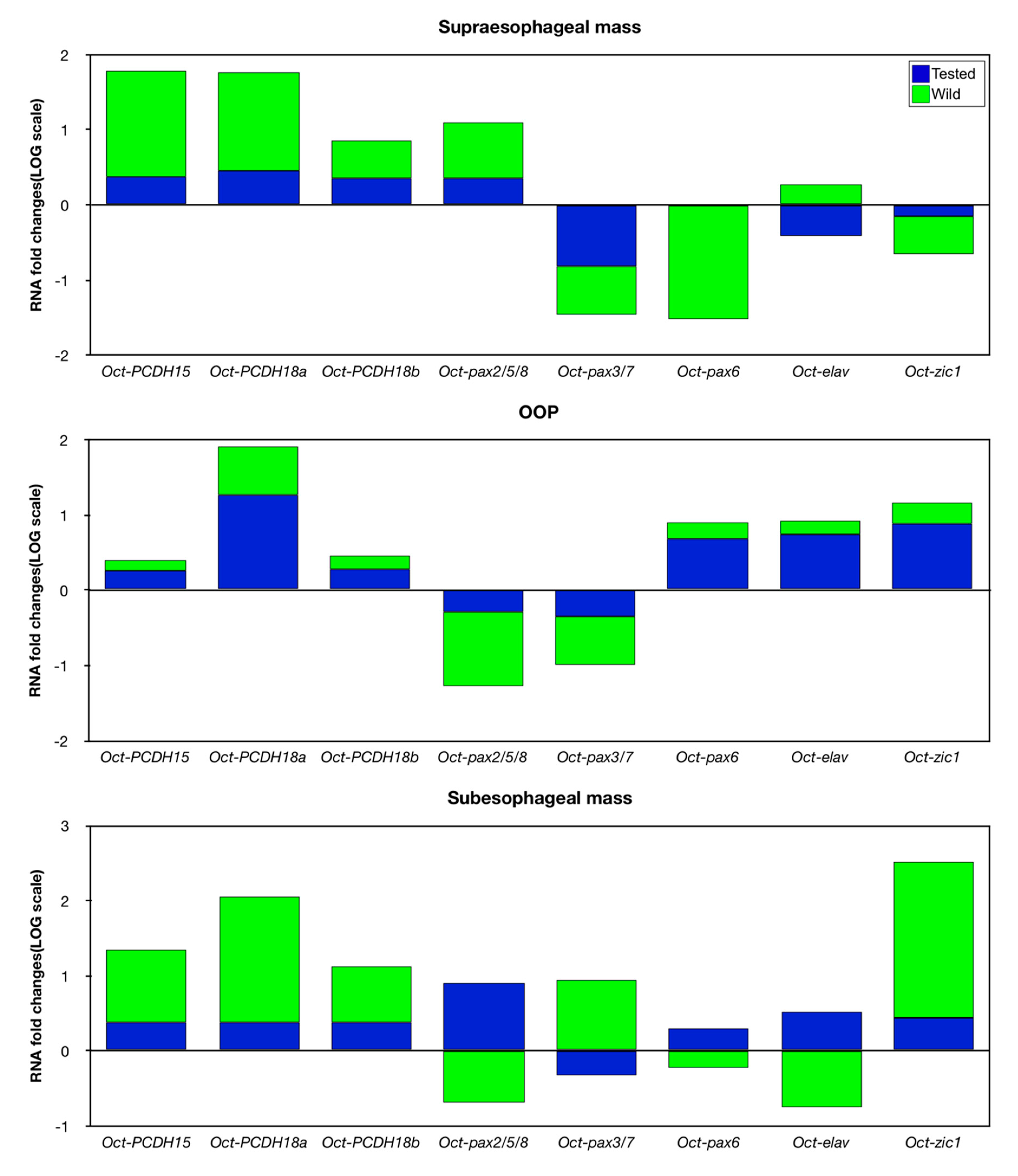 Biology 09 00196 g006