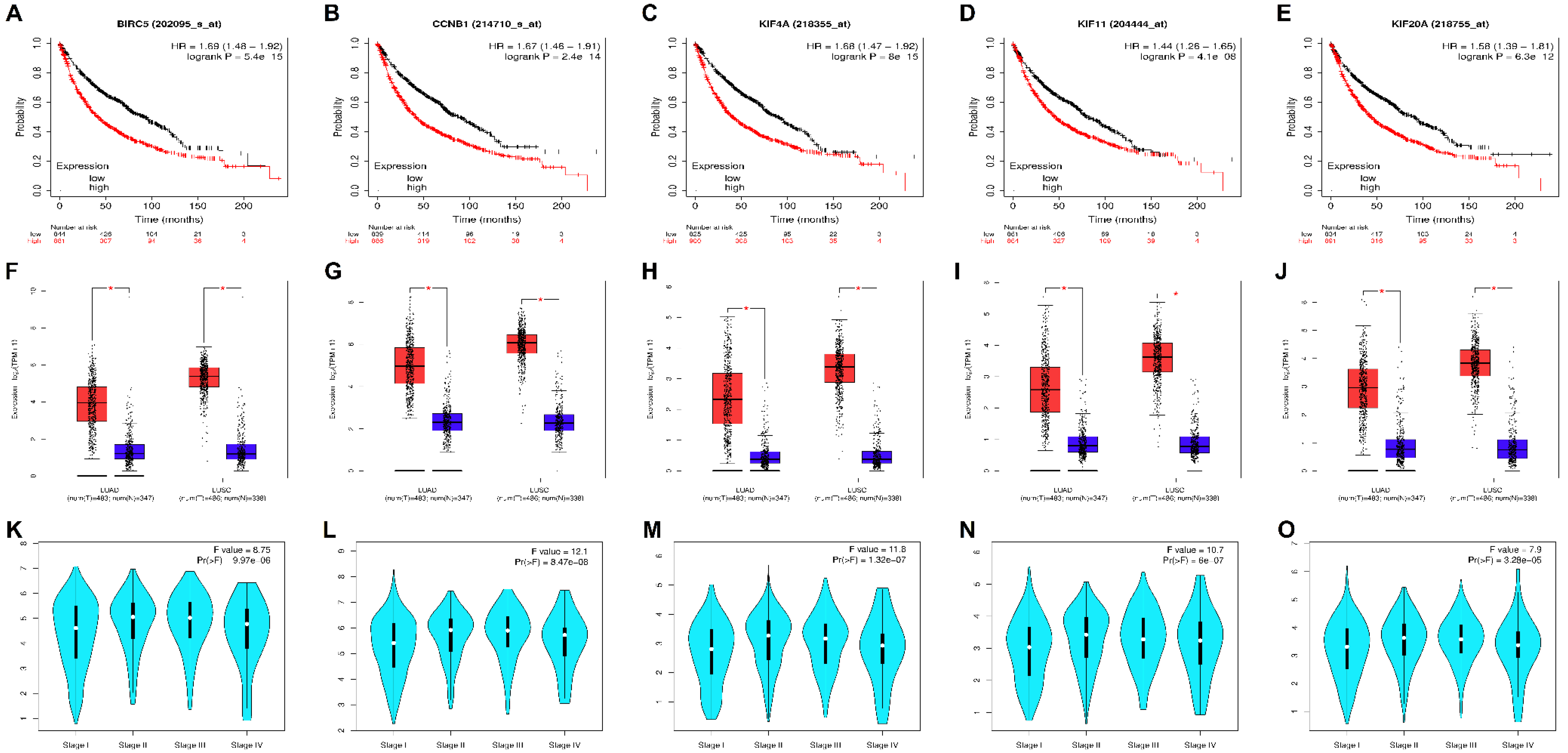 Biology 09 00201 g004