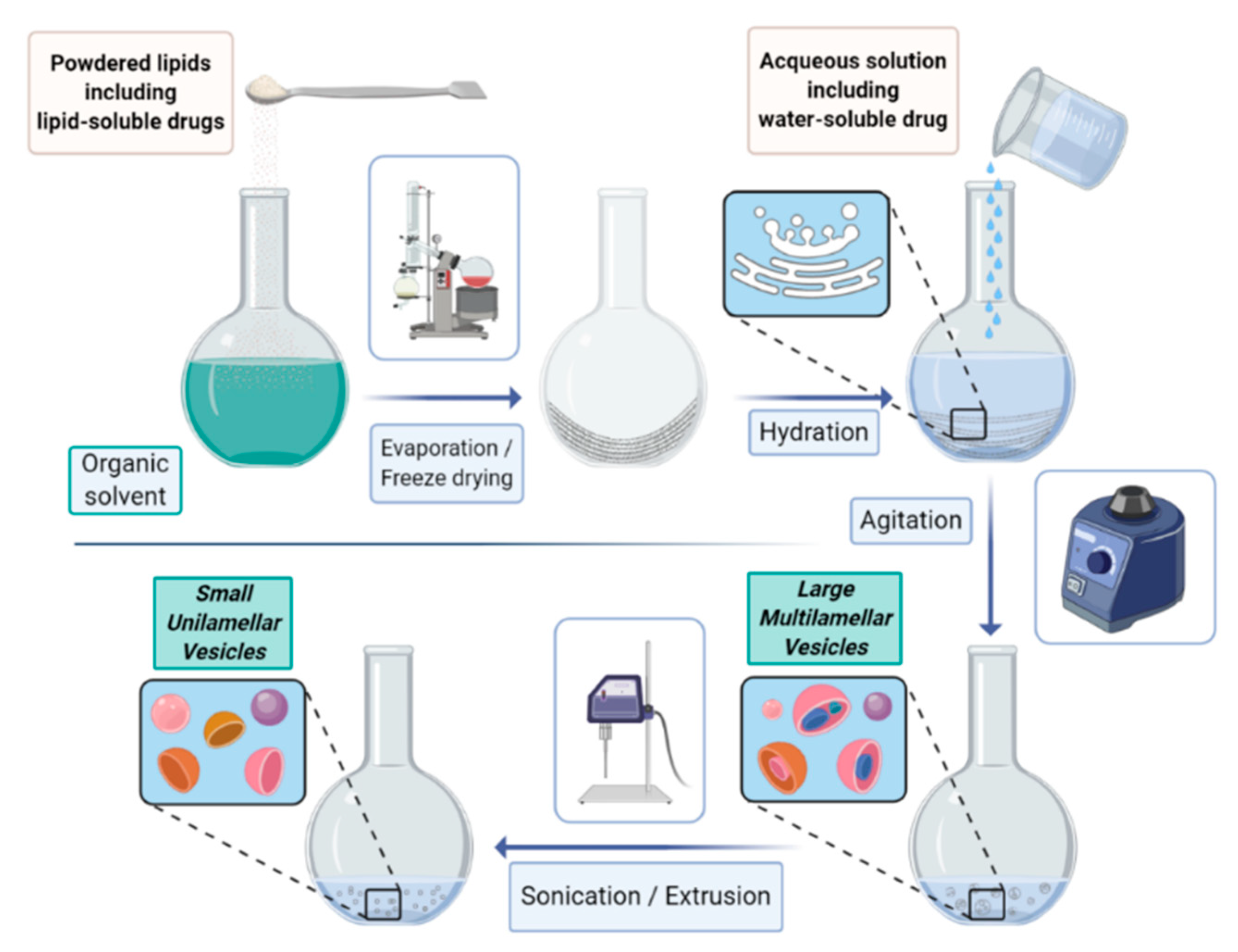 Biology 09 00202 g001