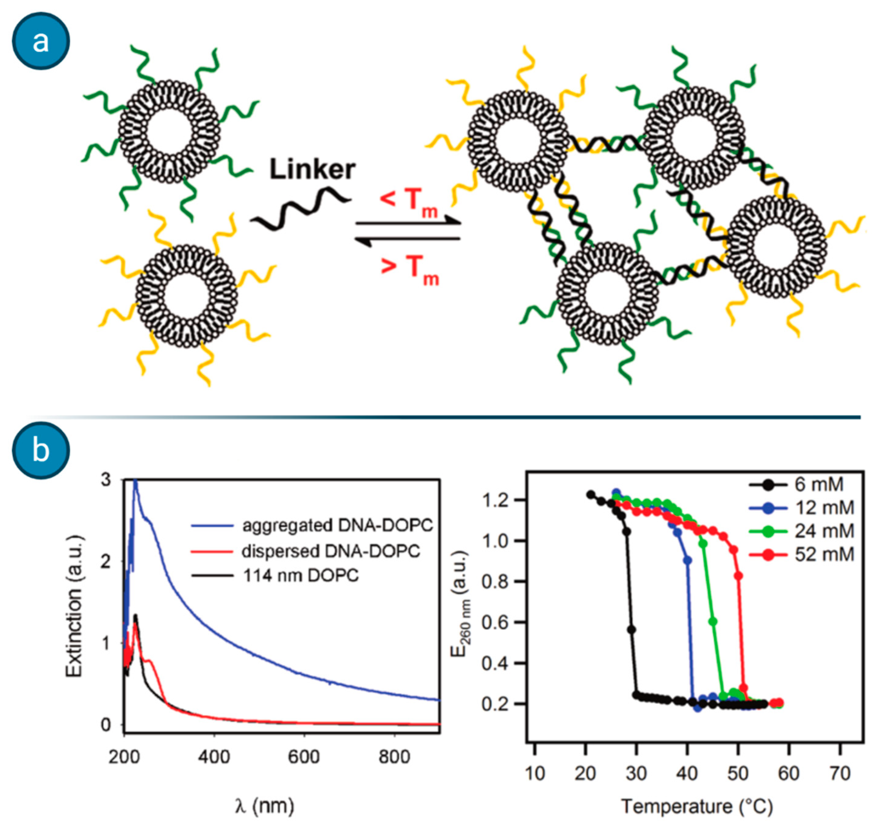 Biology 09 00202 g009