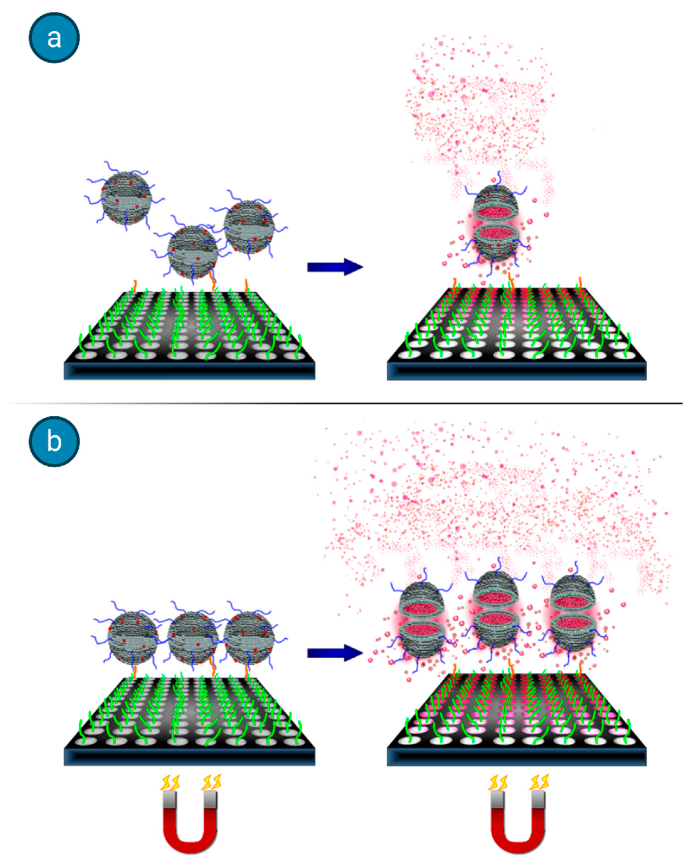 Biology 09 00202 g011