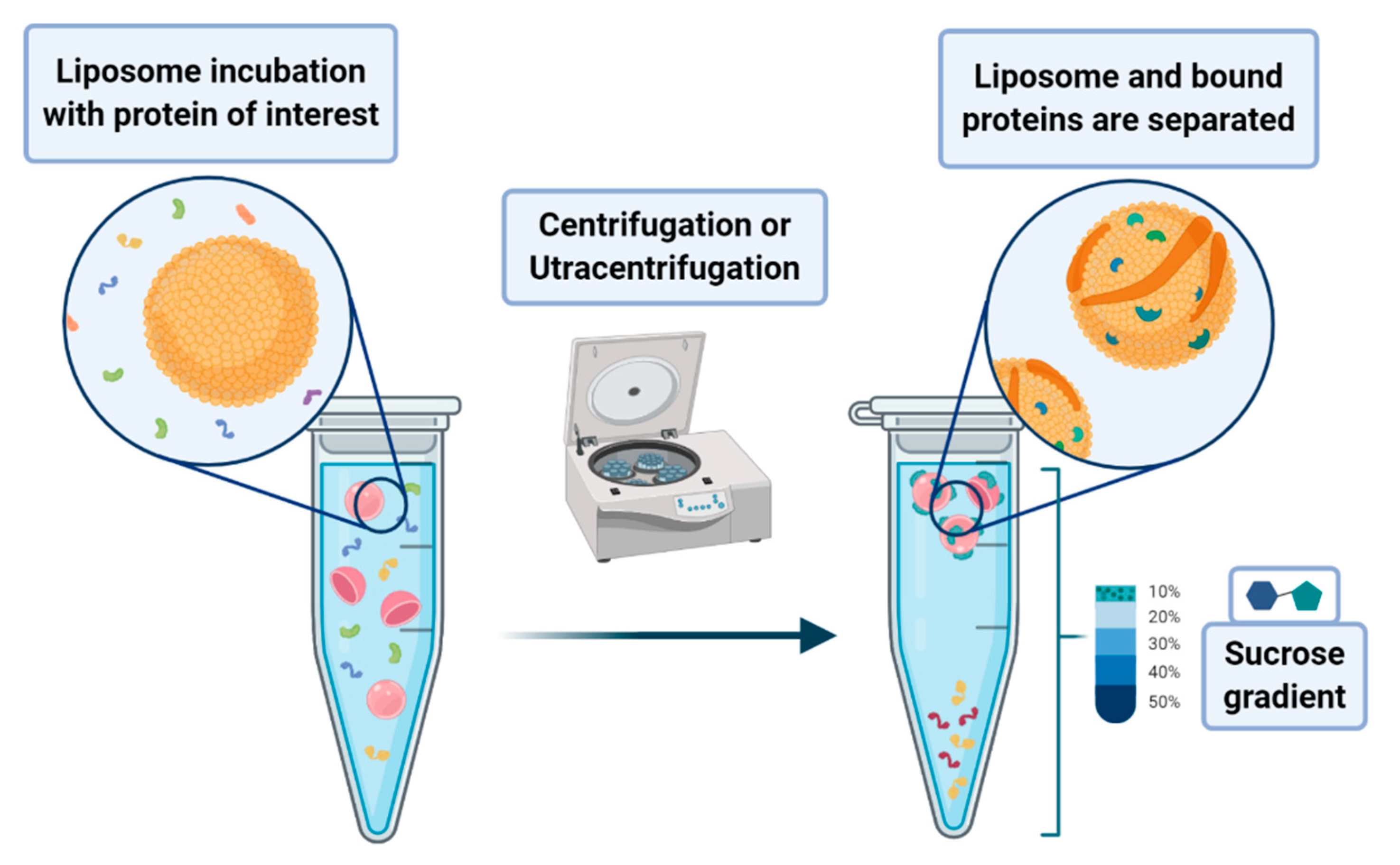 Biology 09 00202 g017