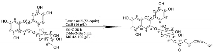 Biology 09 00205 i001 Biology 09 00205 i001