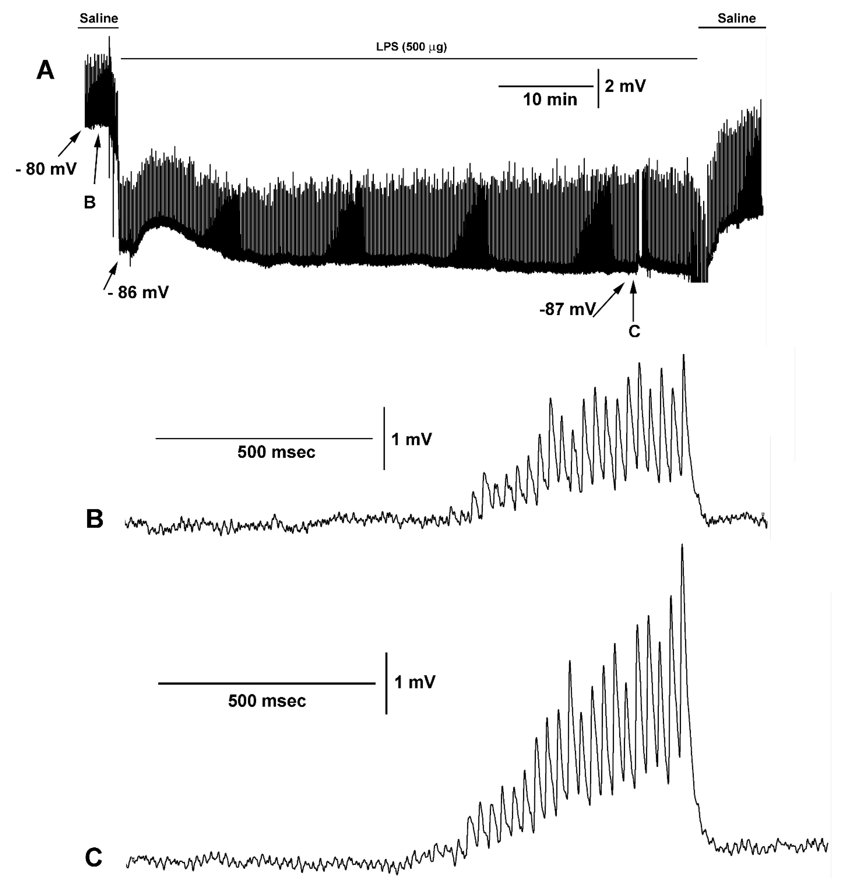Biology 09 00210 g004