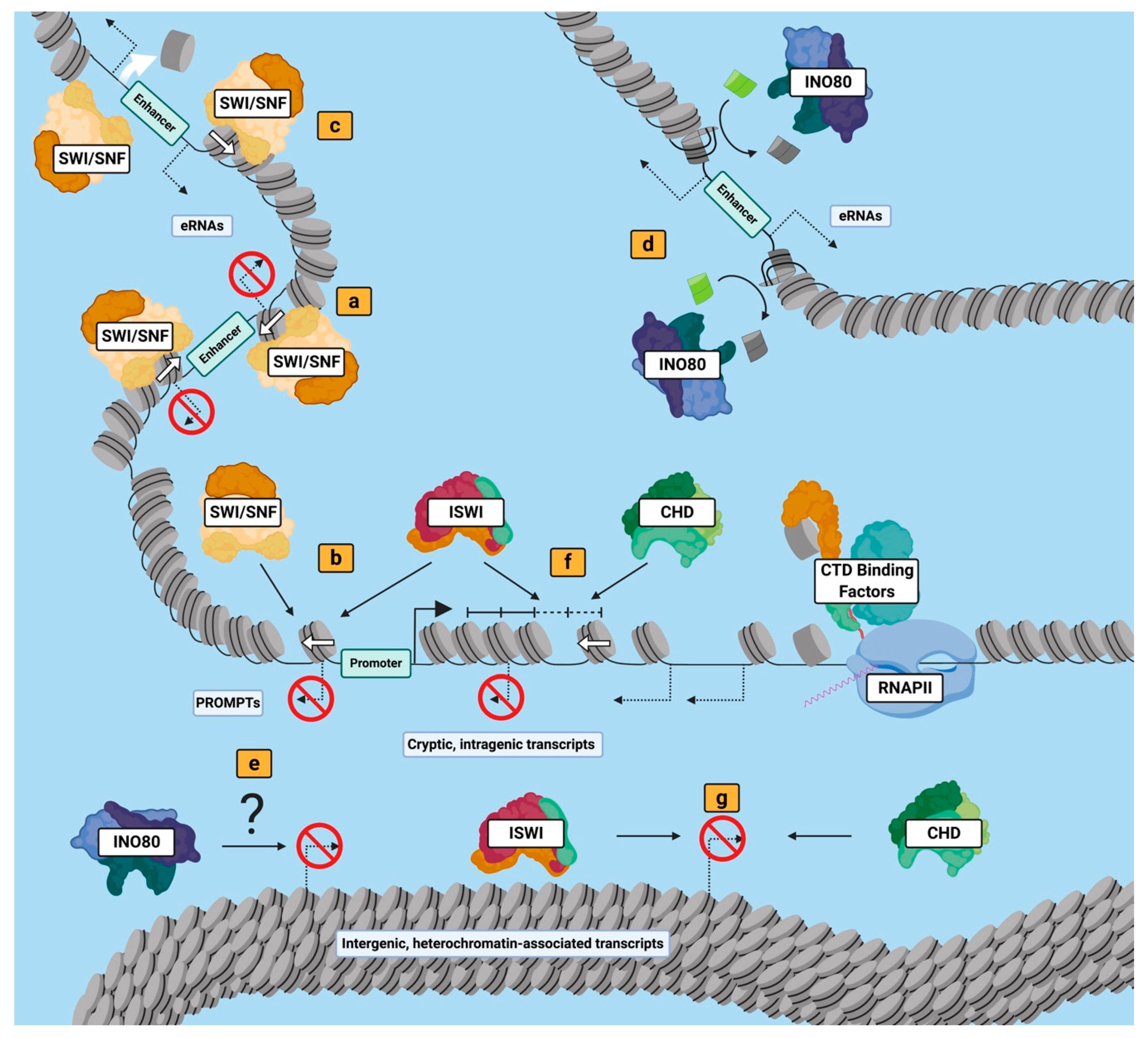 Biology 09 00213 g002