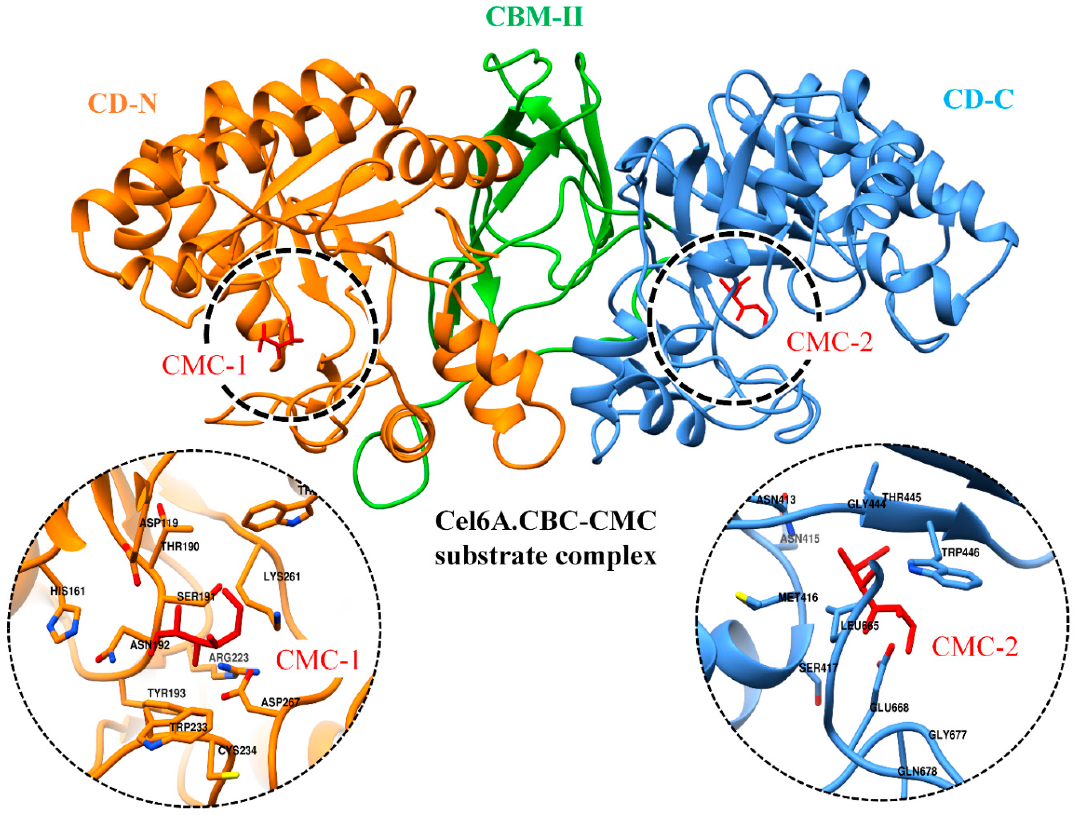 Biology 09 00214 g007