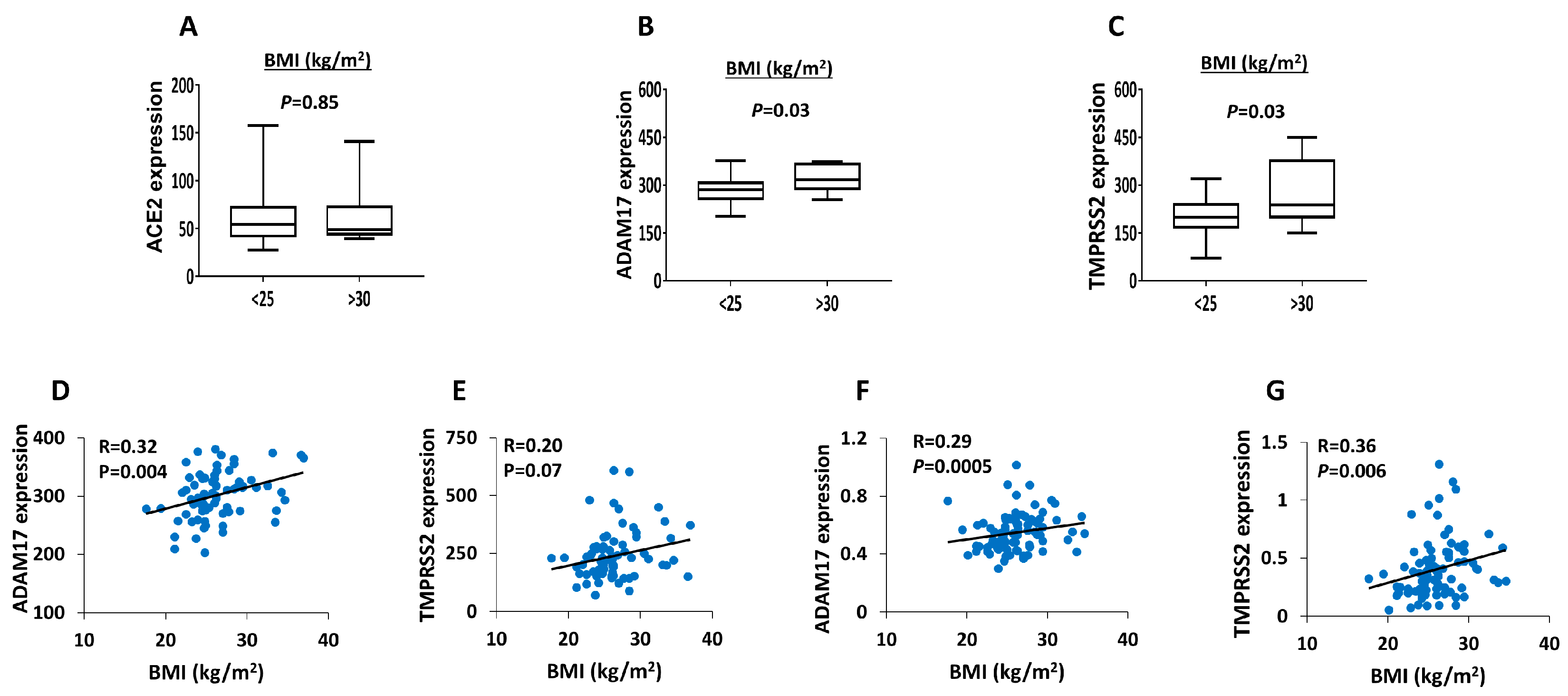 Biology 09 00215 g004