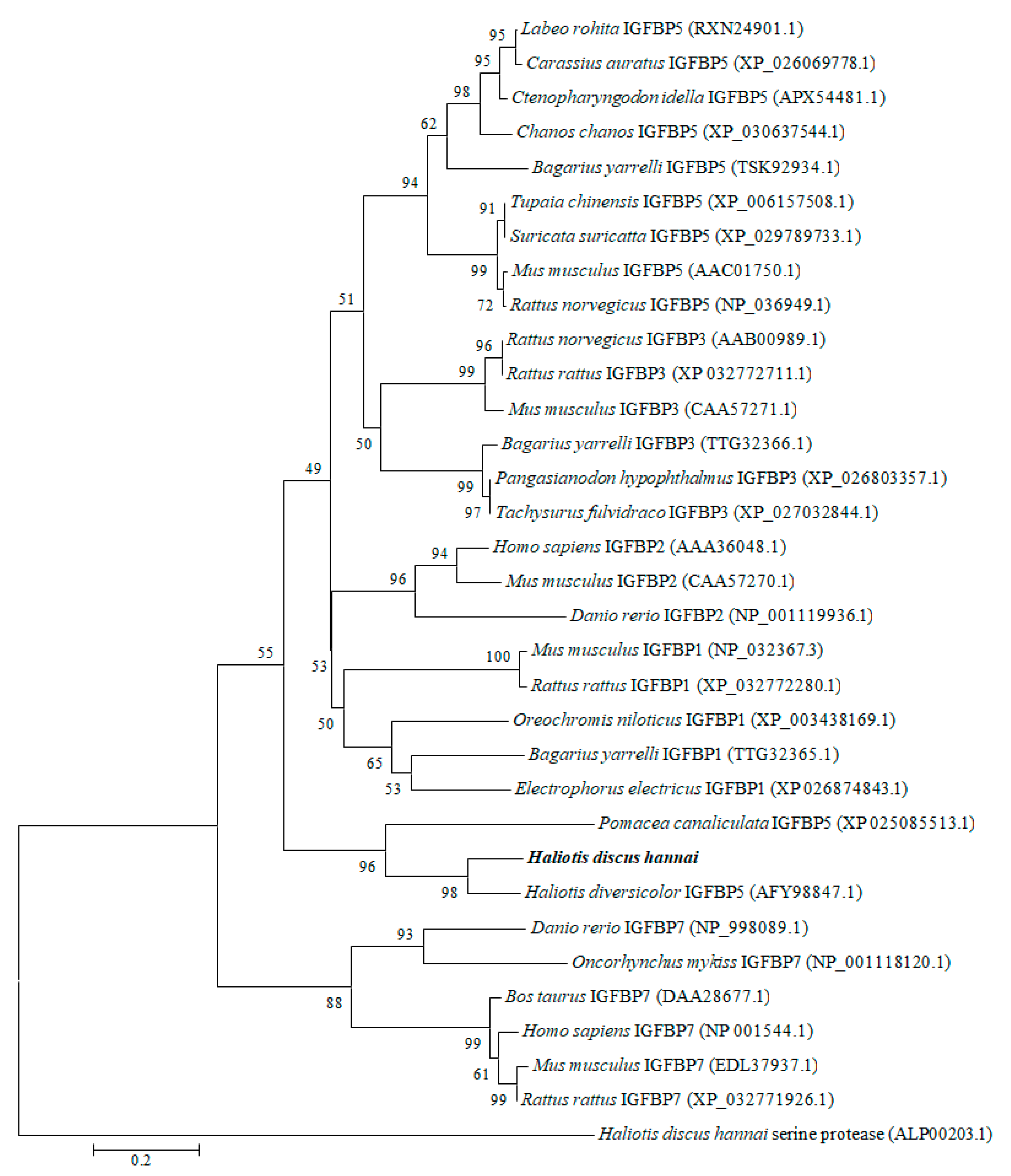 Biology 09 00216 g003 Biology 09 00216 g003