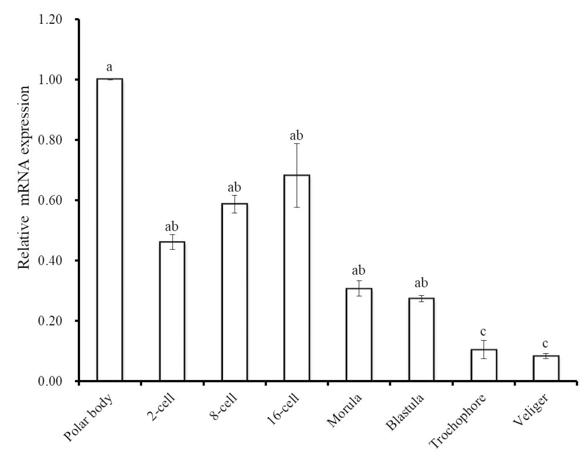Biology 09 00216 g007 Biology 09 00216 g007