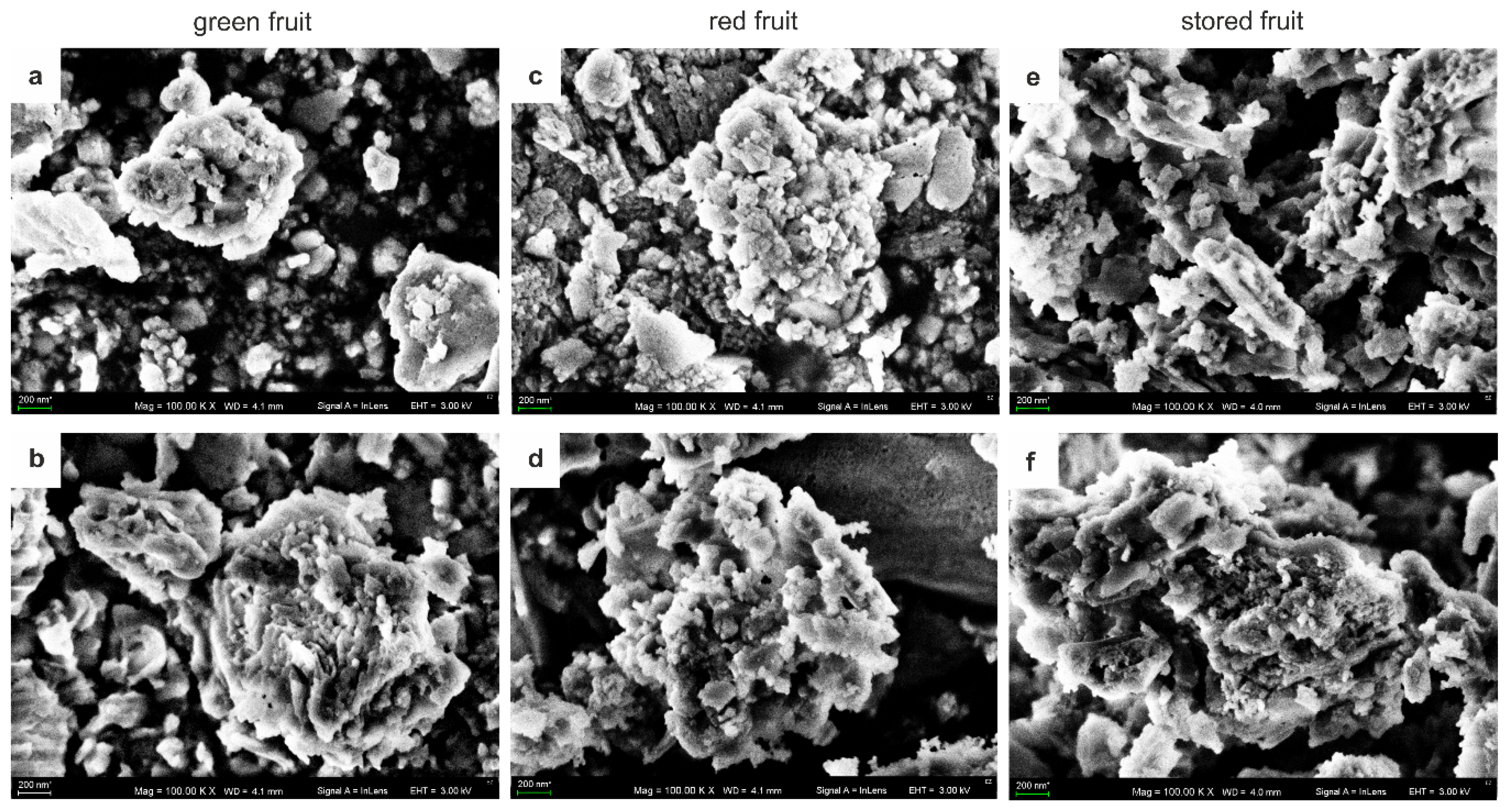 Biology 09 00225 g001 Biology 09 00225 g001