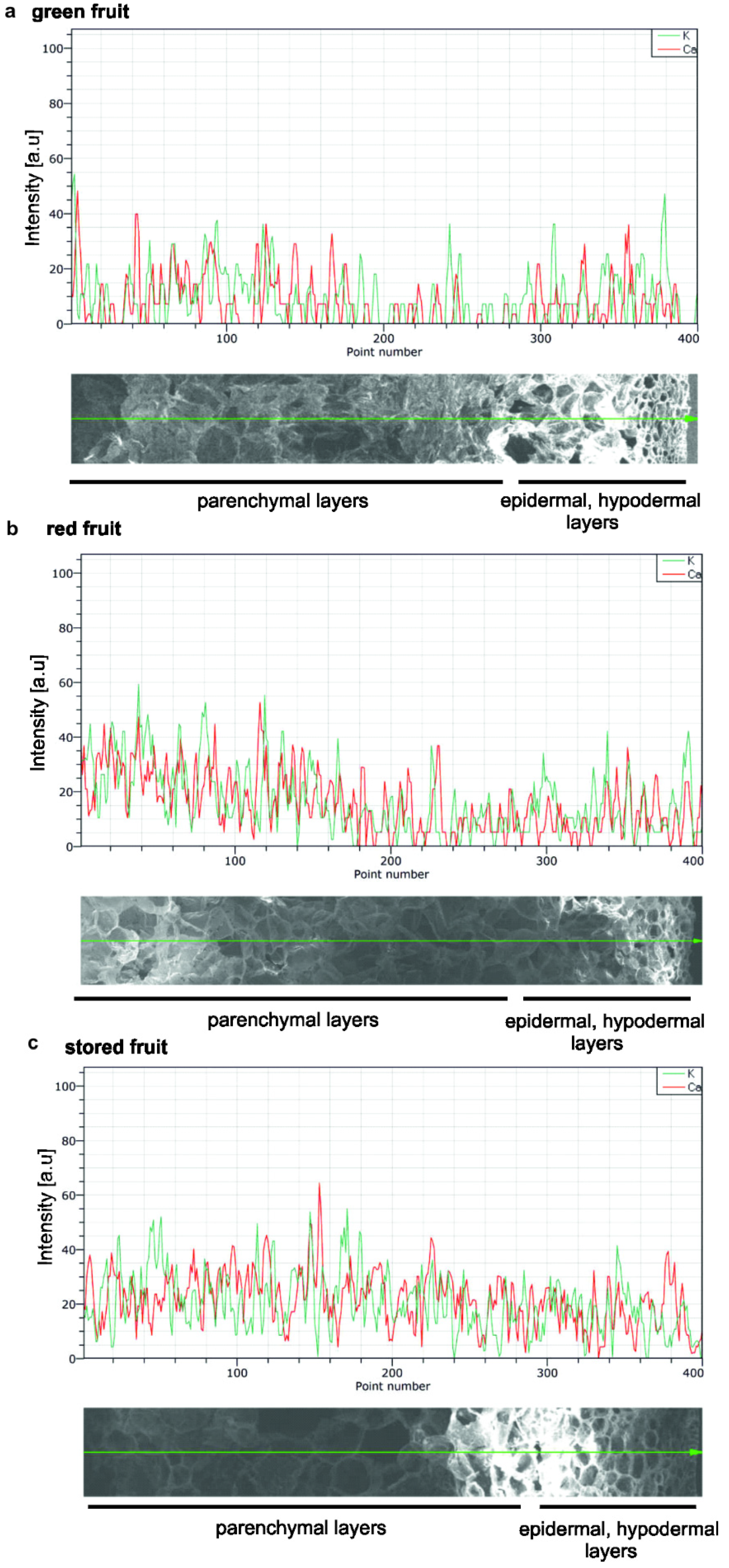 Biology 09 00225 g004 Biology 09 00225 g004