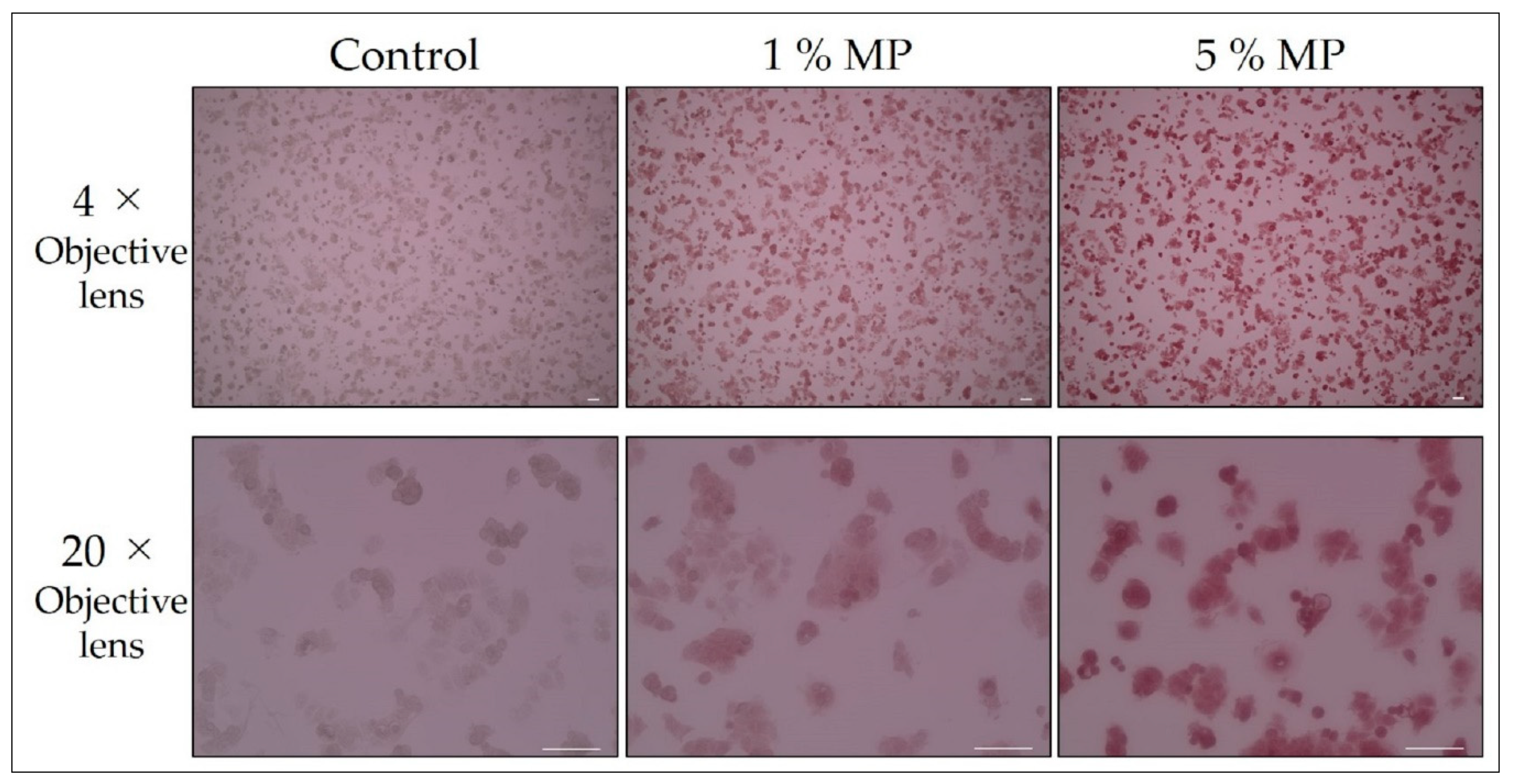 Biology 09 00227 g001 Biology 09 00227 g001