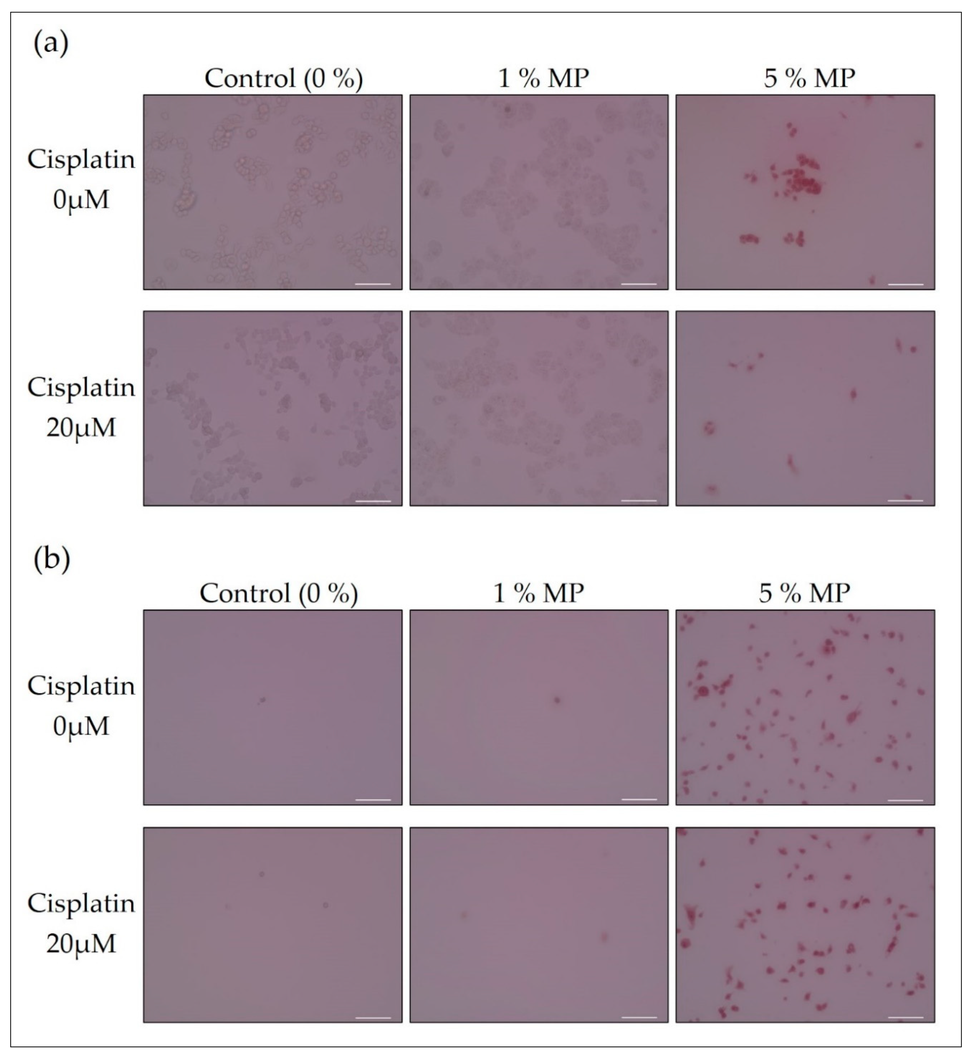 Biology 09 00227 g004 Biology 09 00227 g004