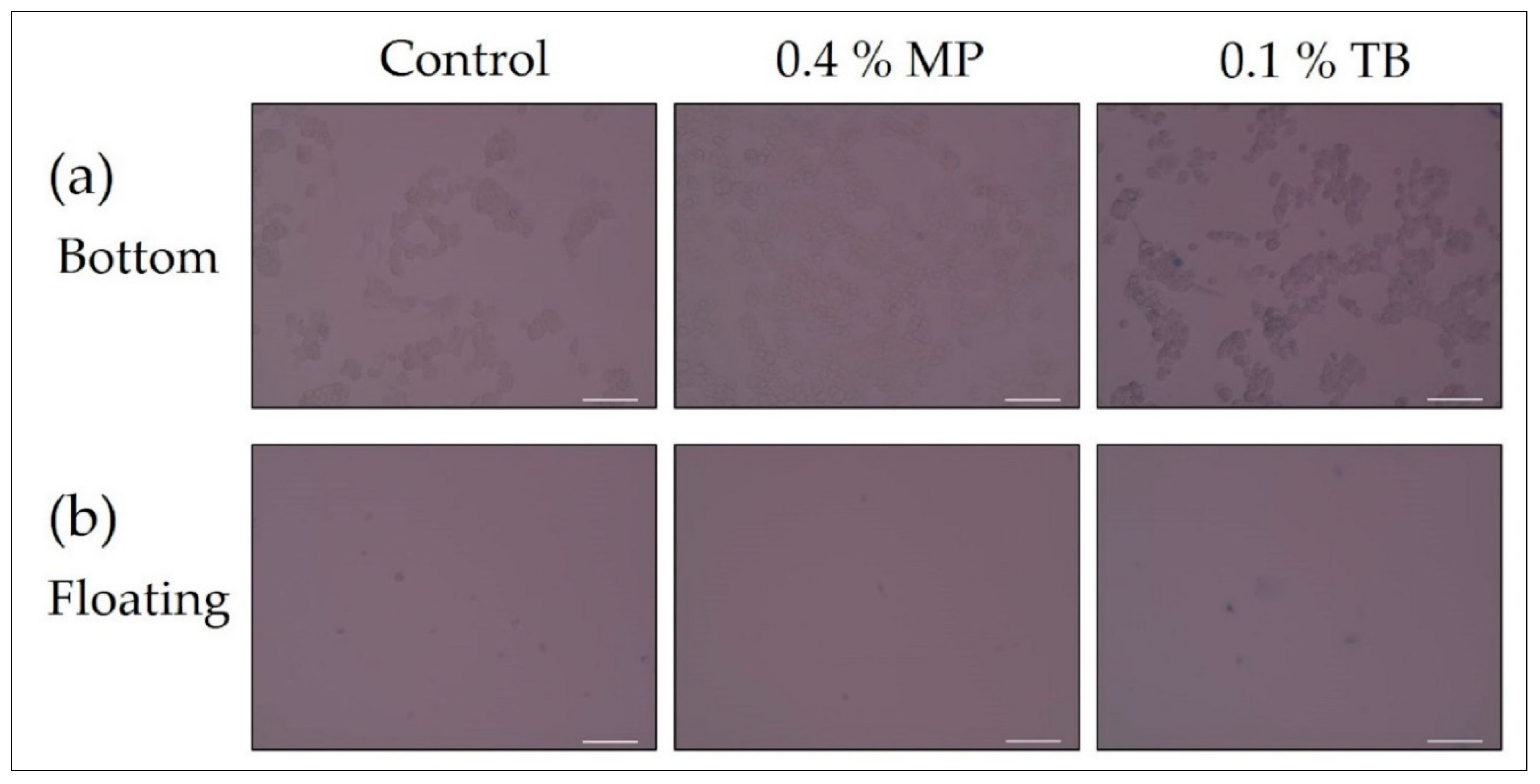 Biology 09 00227 g005 Biology 09 00227 g005