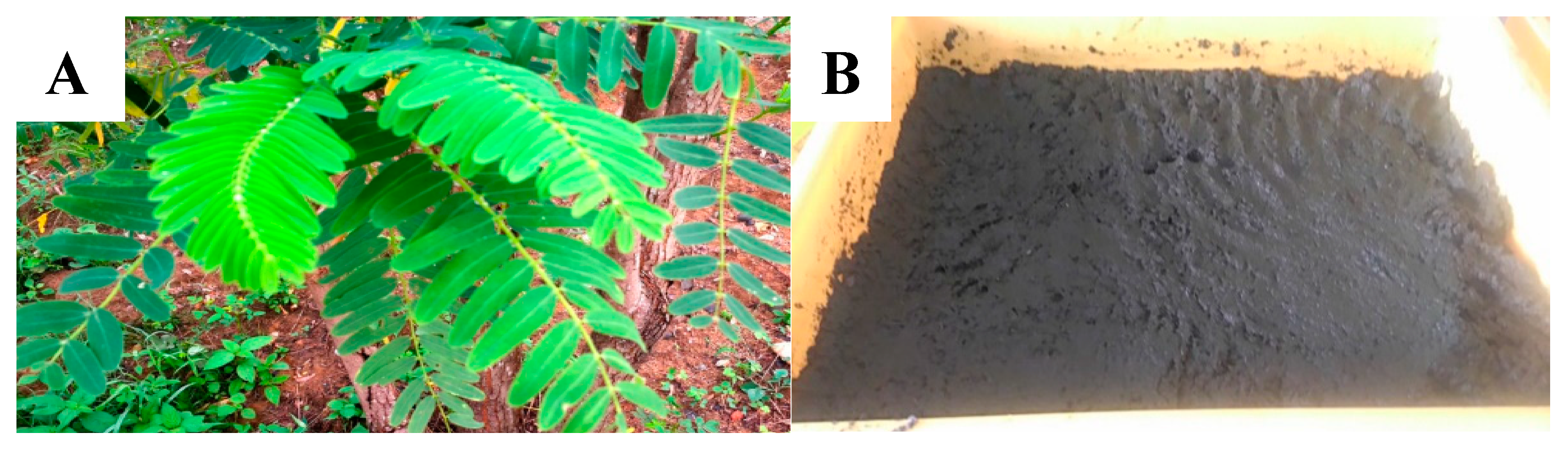 Biology 09 00274 g001 Biology 09 00274 g001