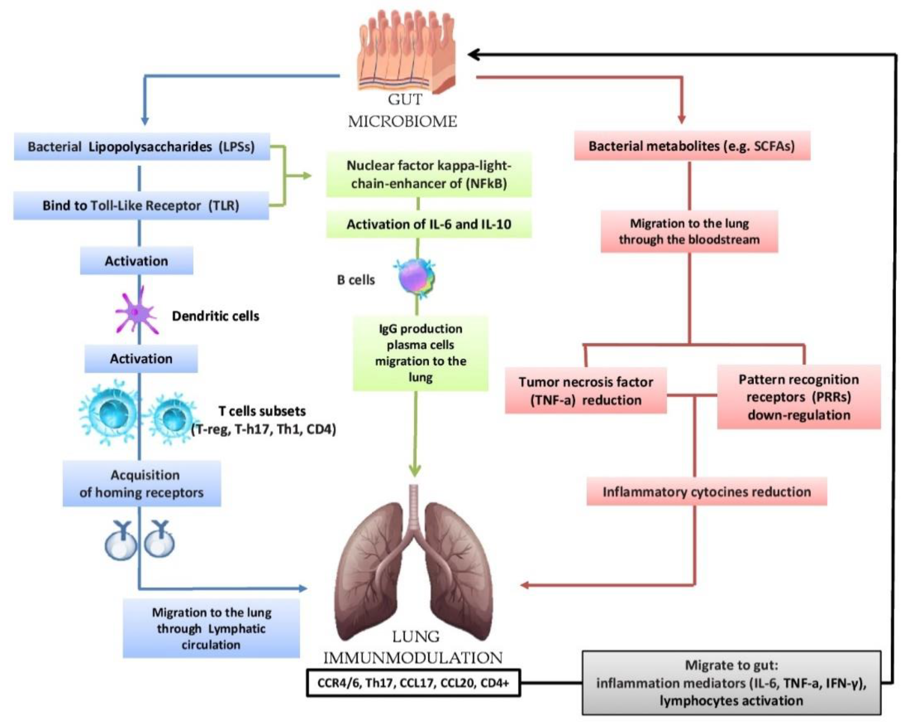 Biology 09 00318 g002 Biology 09 00318 g002