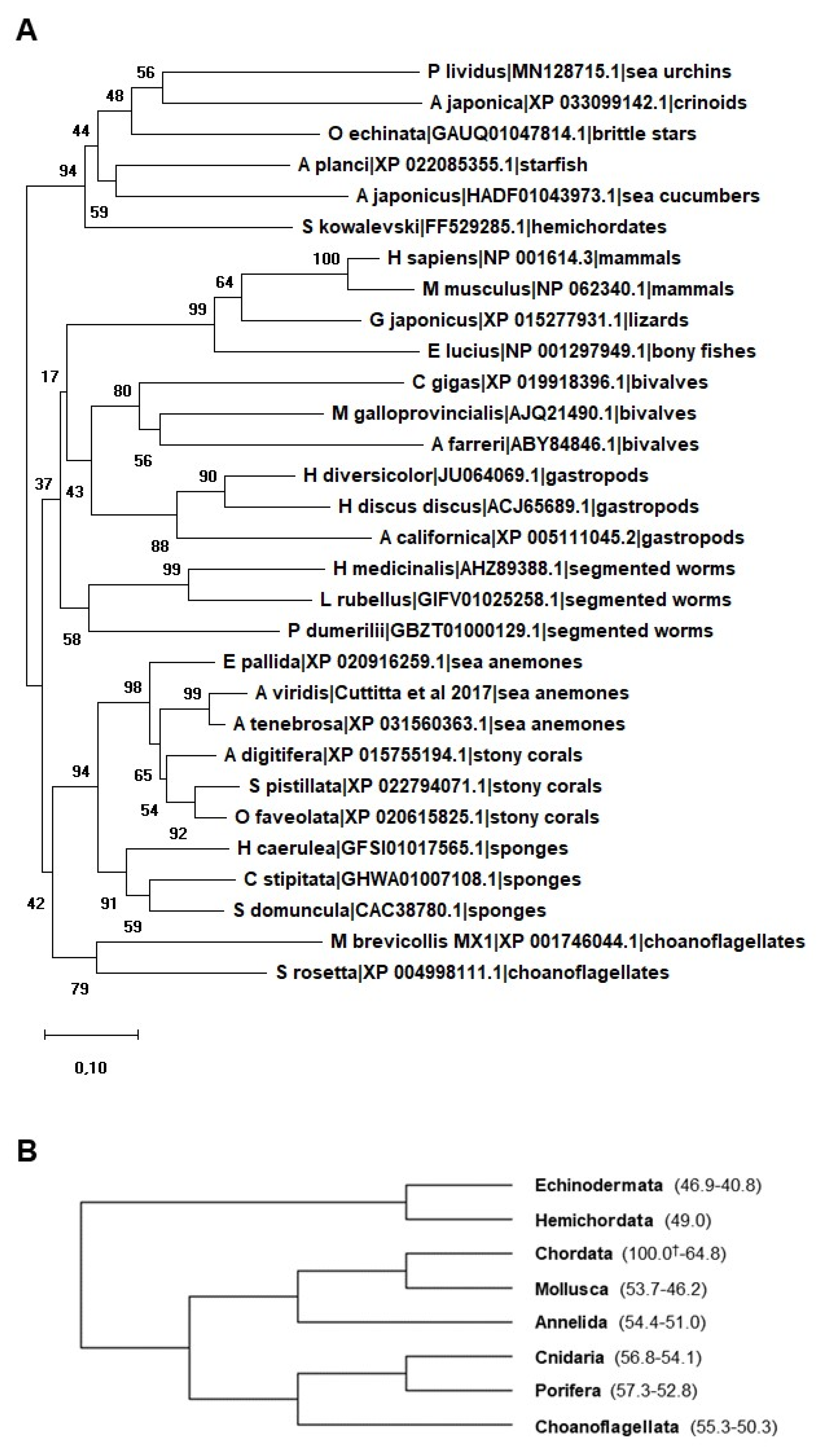 Biology 09 00355 g001 Biology 09 00355 g001