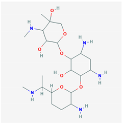 Biology 09 00365 i006 Biology 09 00365 i006